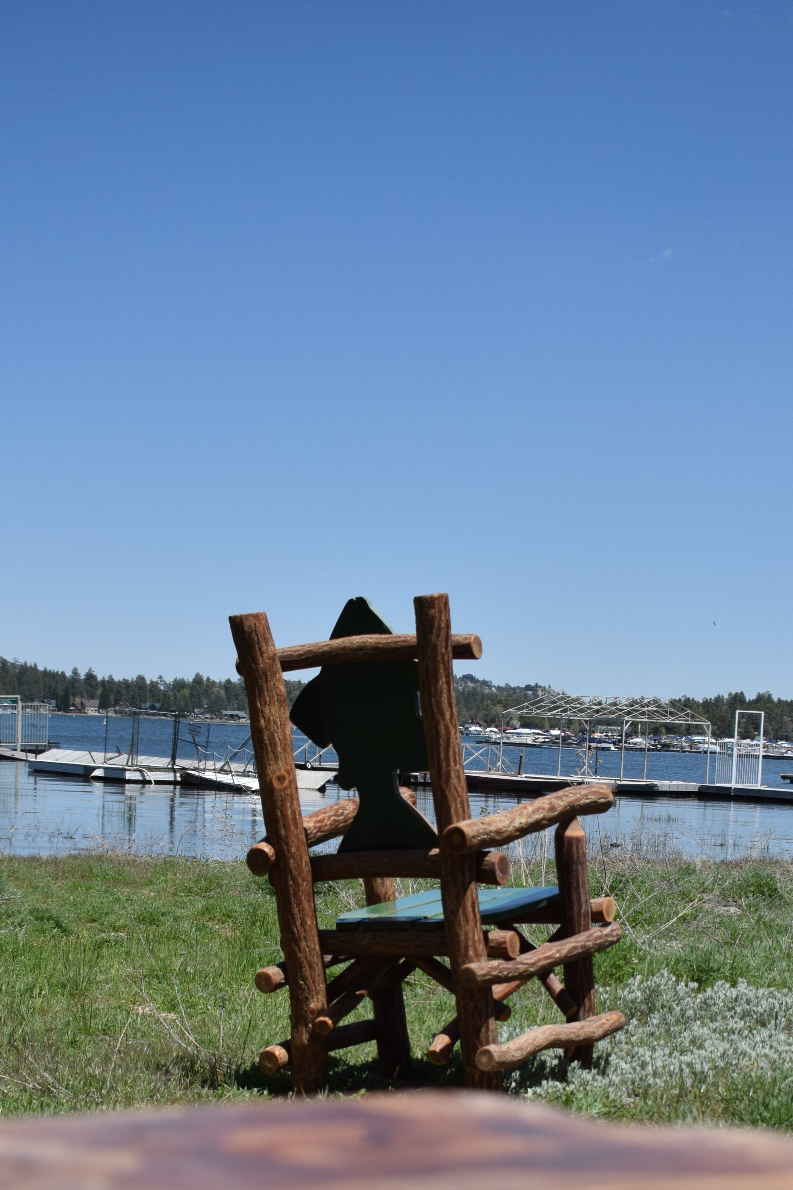 Natural Log Chair with a Rainbow Trout Back