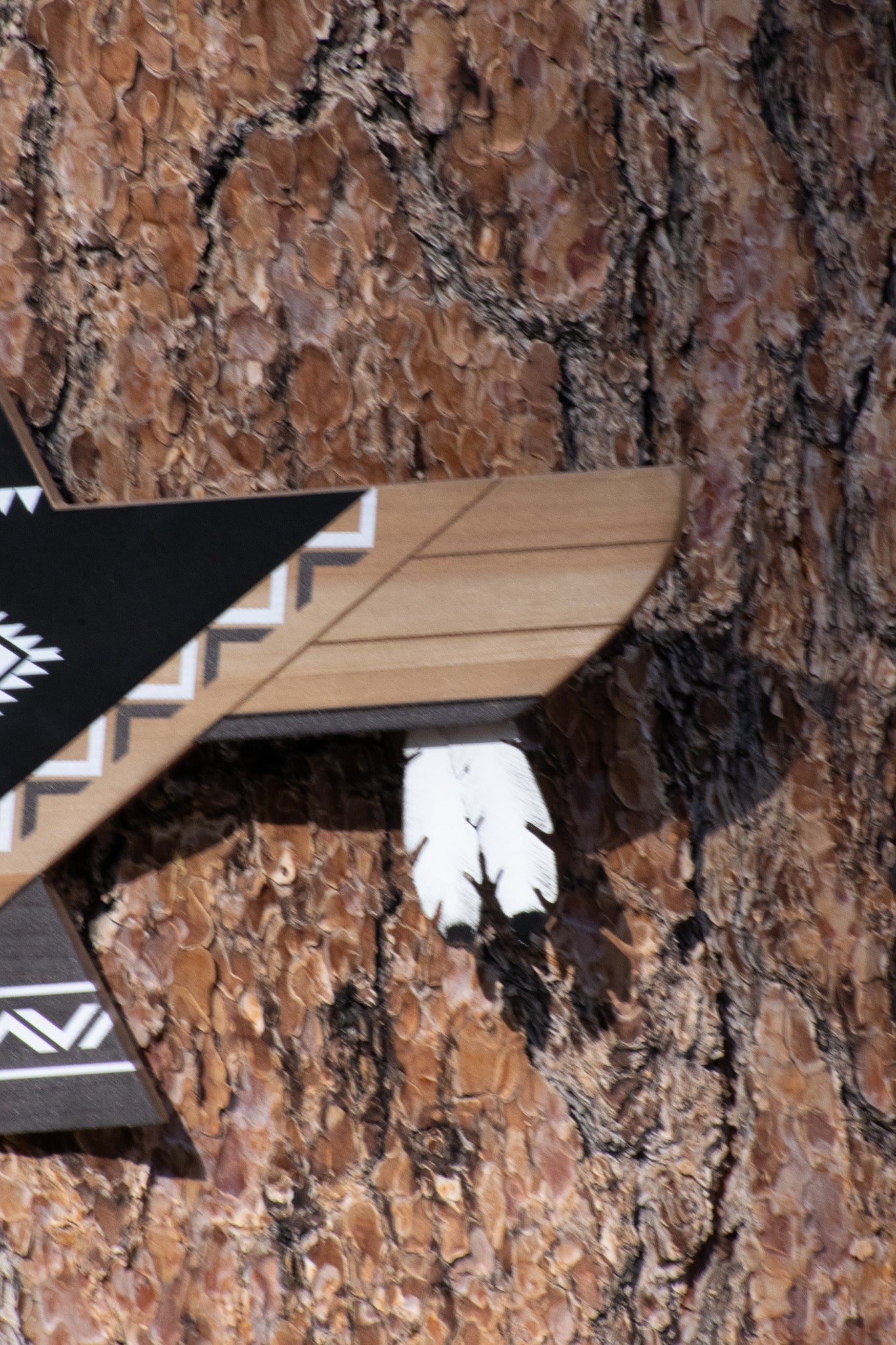 Lonestar Thunderbird Shaped Southwestern Wall Art