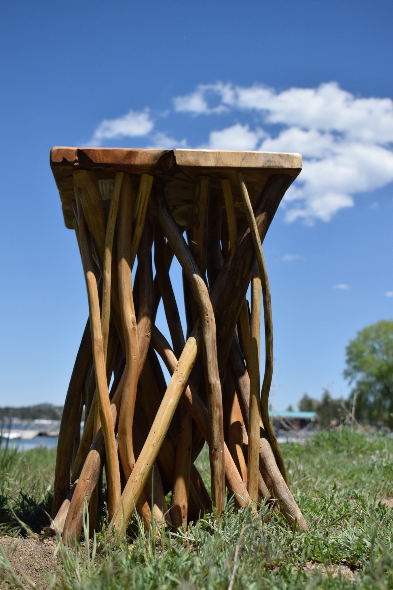 Beautifully Crafted Wood Nautica Side Table with Real Tree-Branch Limbs
