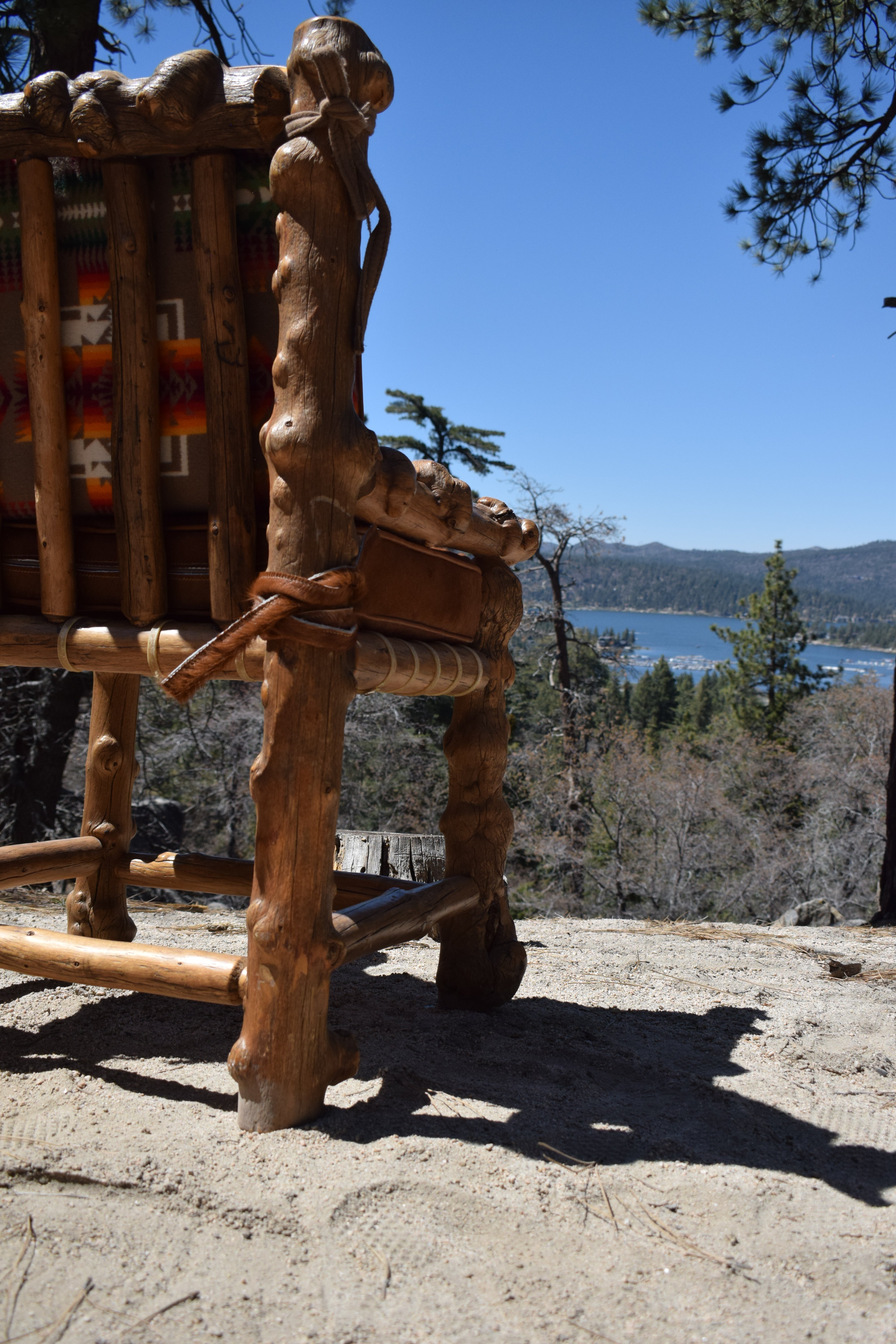 Rustic Knots and Gnarled Pine Log Chair