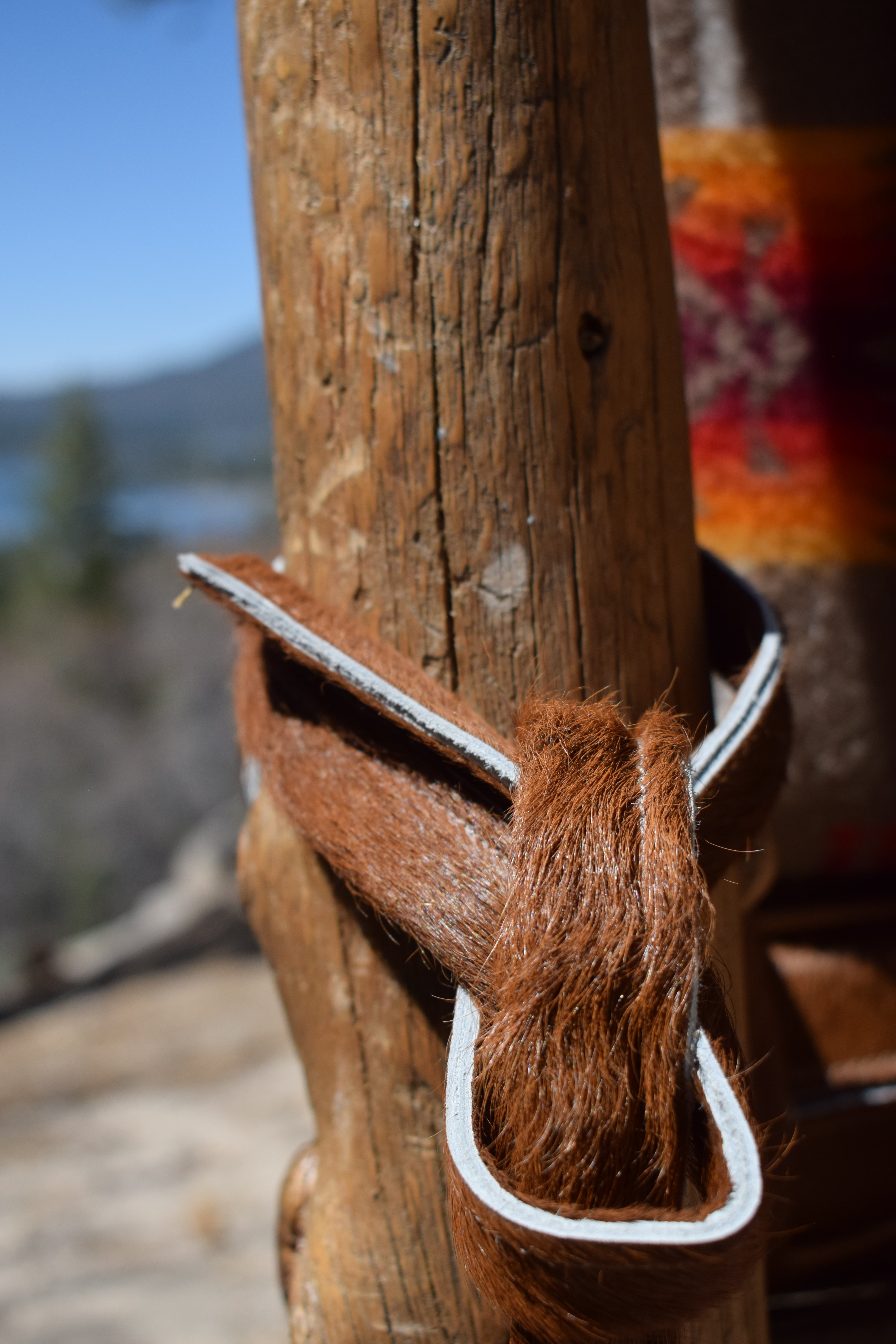 Rustic Knots and Gnarled Pine Log Chair
