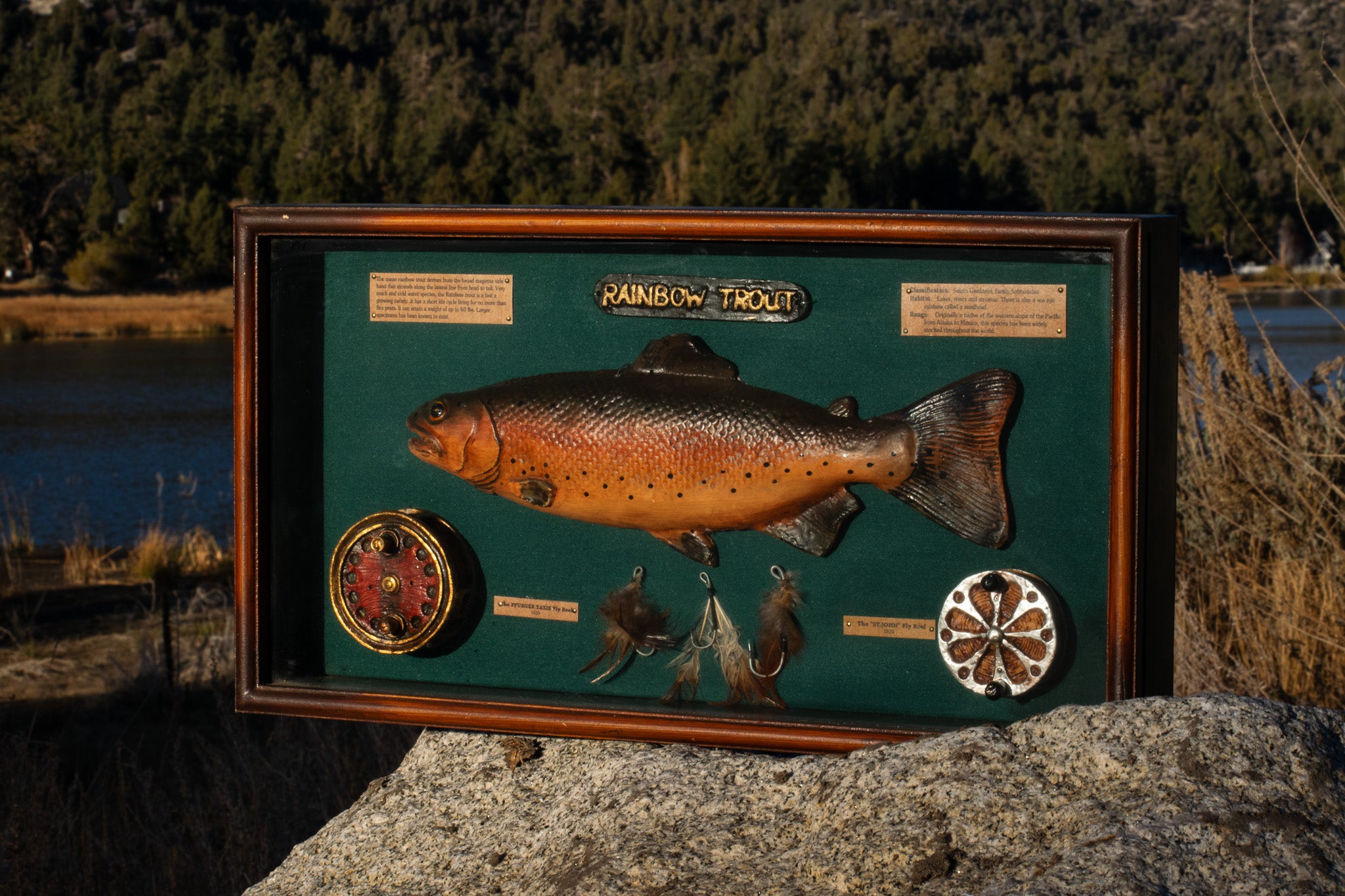 Fishing Art Shadow Box Art