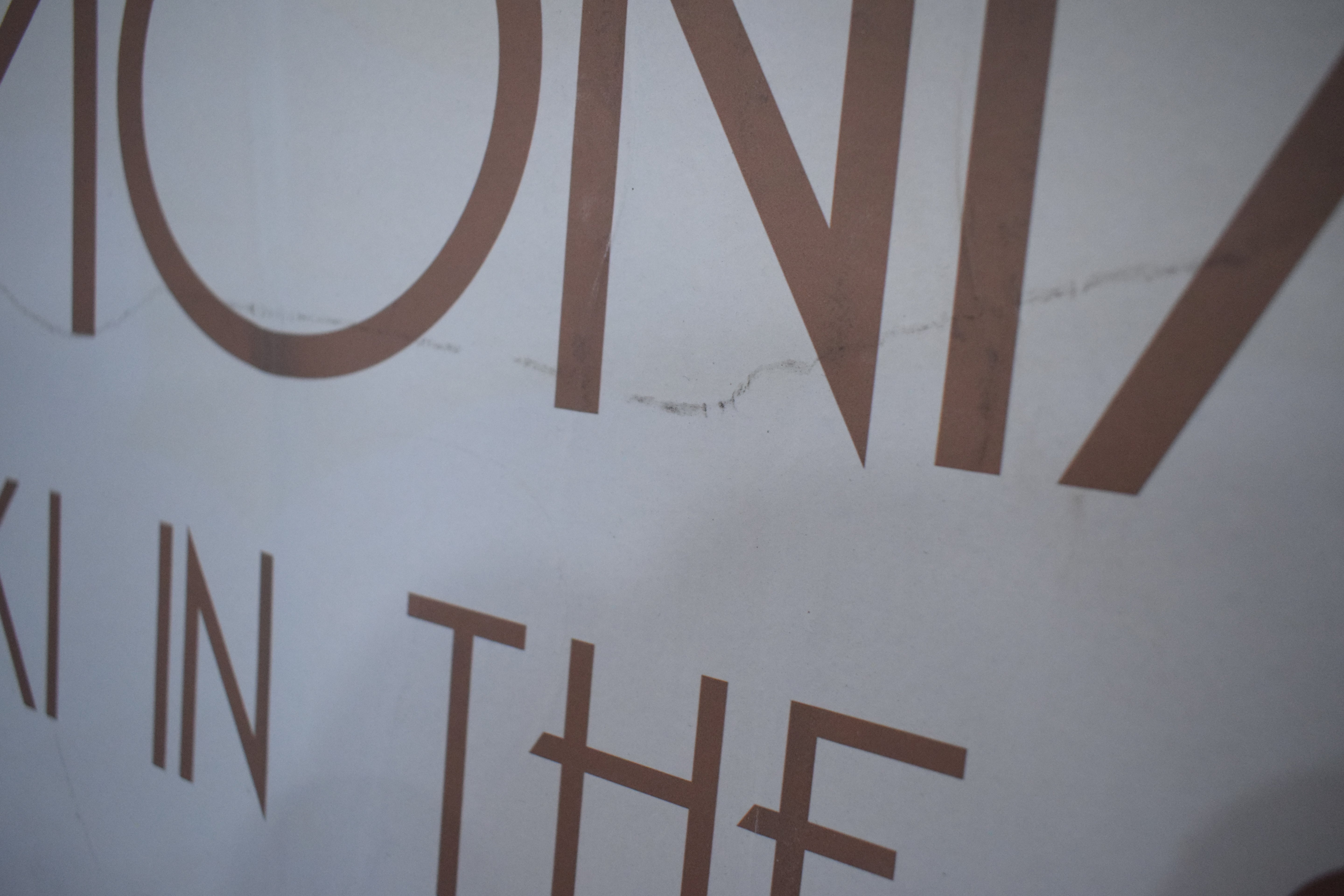 Charmonix French Alps Canvas