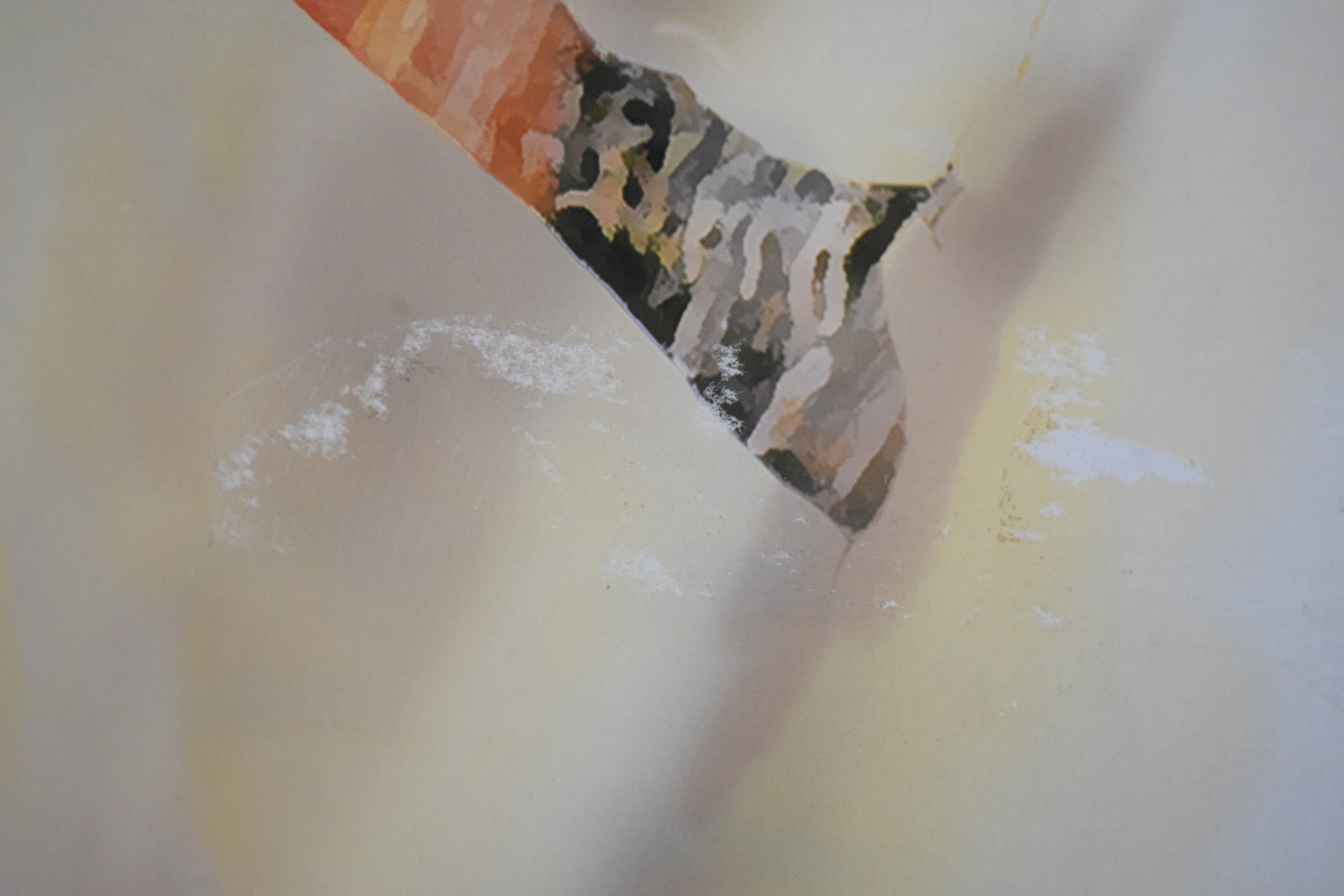 Charmonix French Alps Canvas