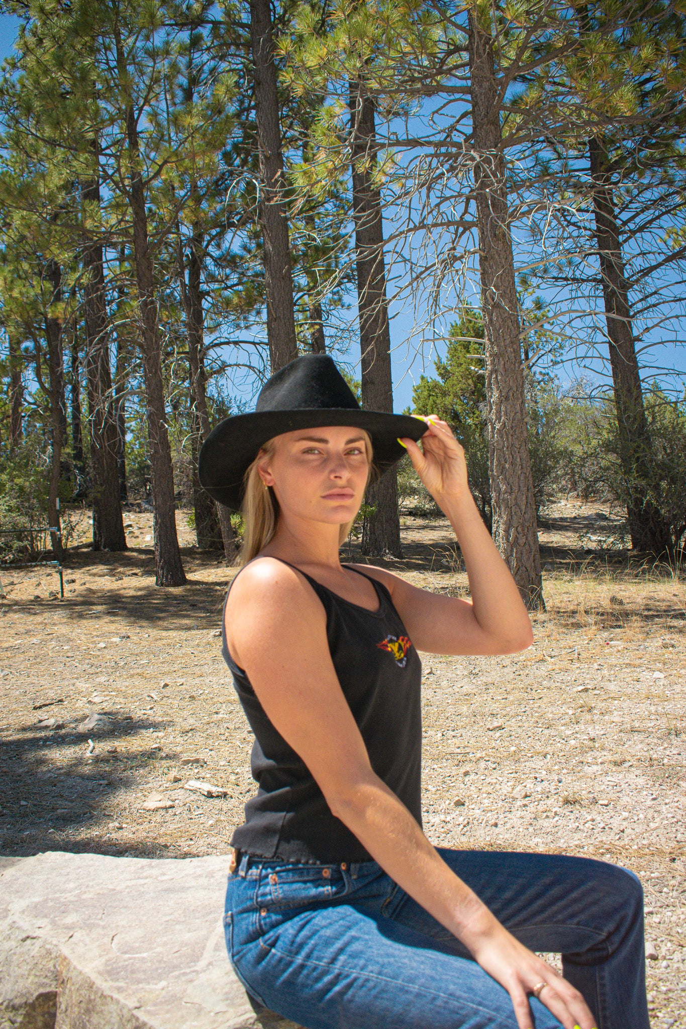 Rackmount Ranch Vintage Wide-Brim Felt Black Cowboy Hat