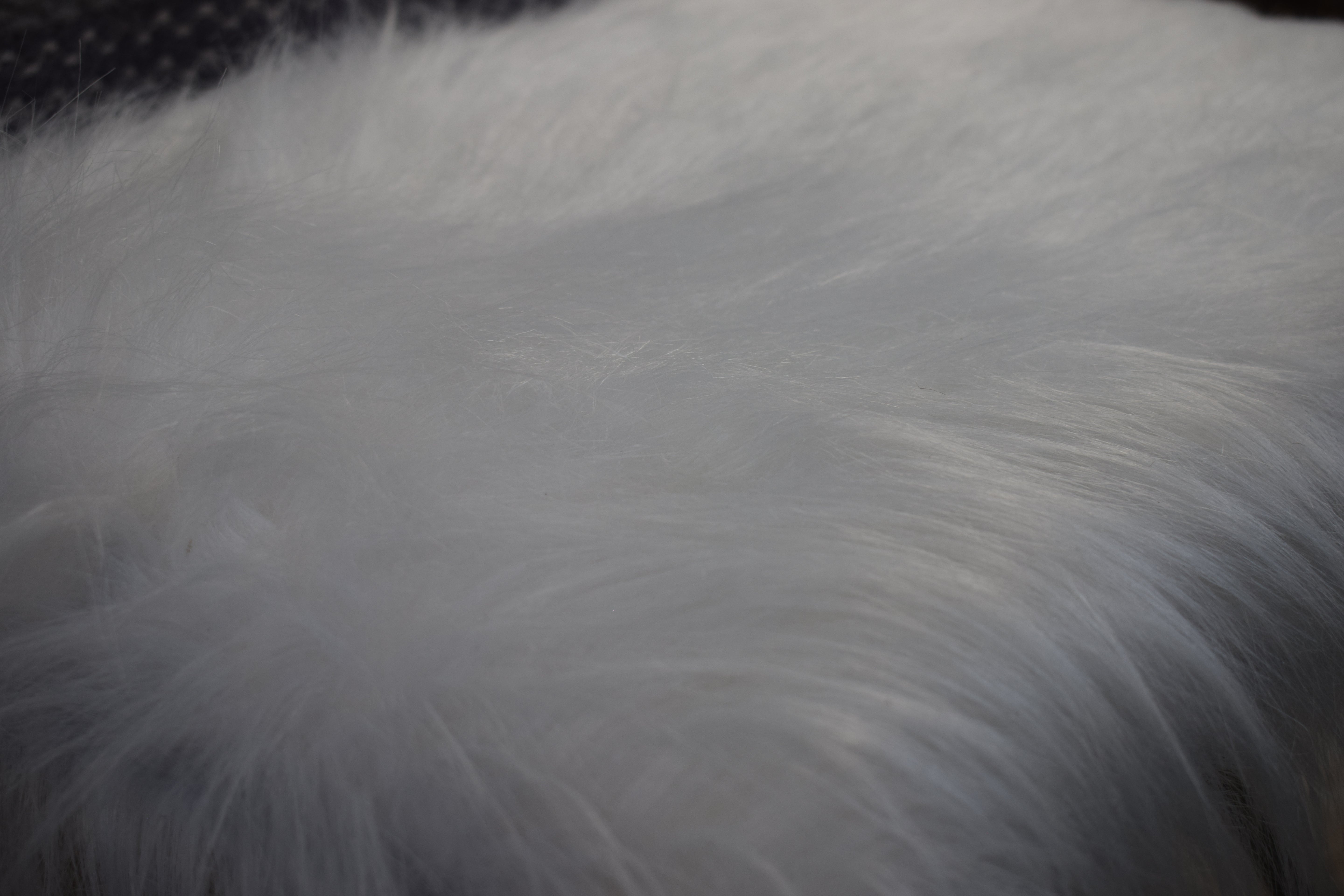 White Fur Stool with Metal Frame