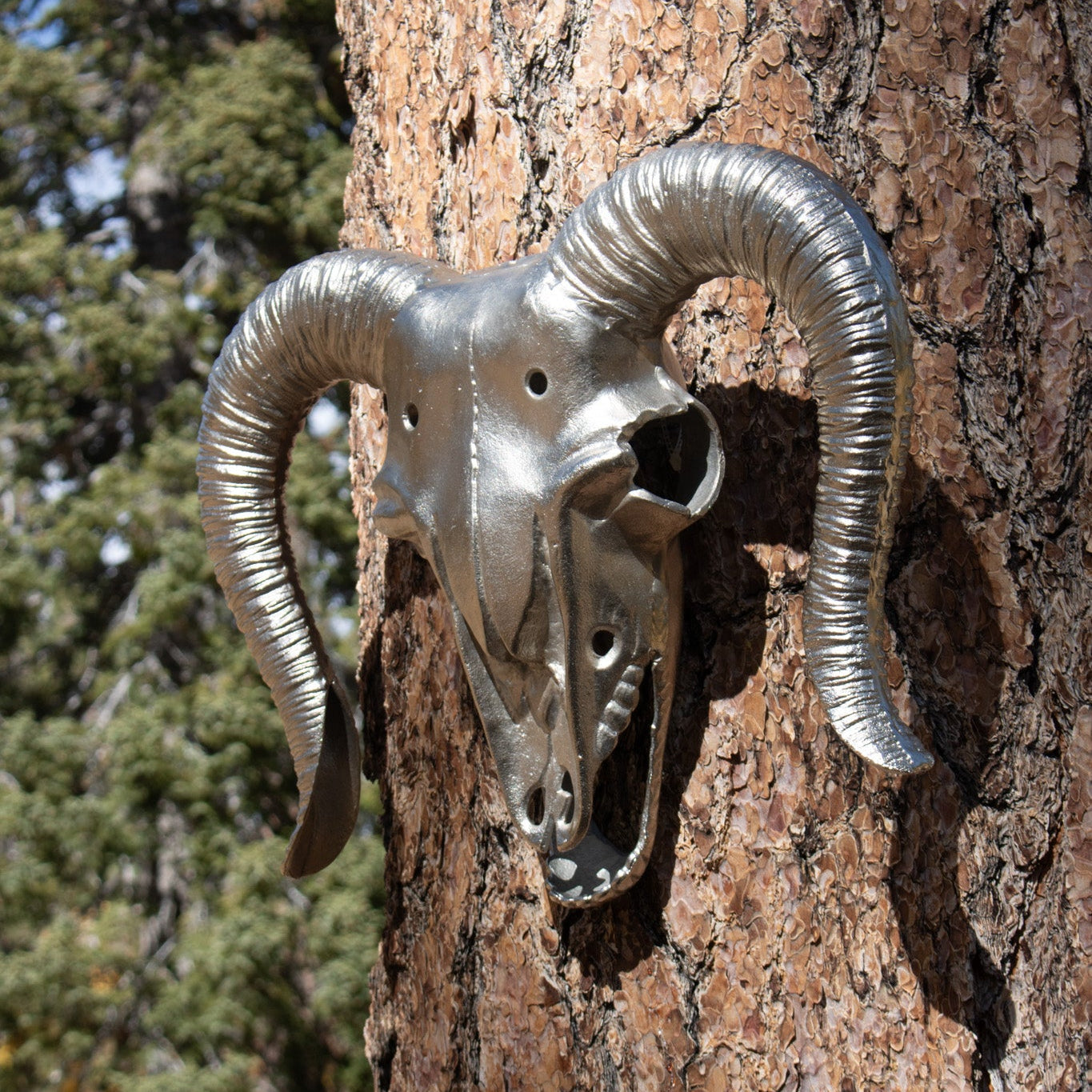 Metal Steer Skull Wall Decor