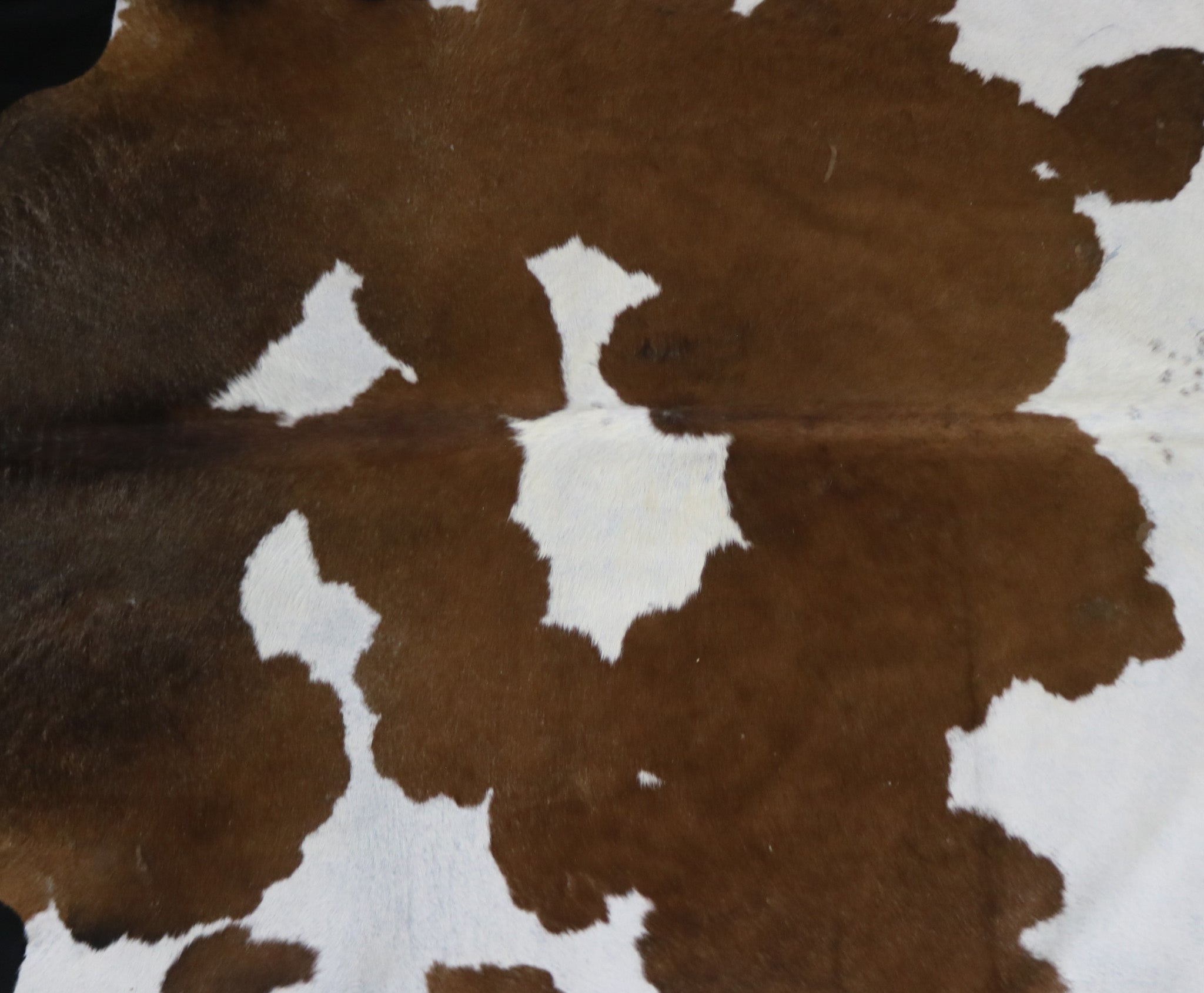 Fabulous Brown and White Cowhide Handcrafted in Brazil