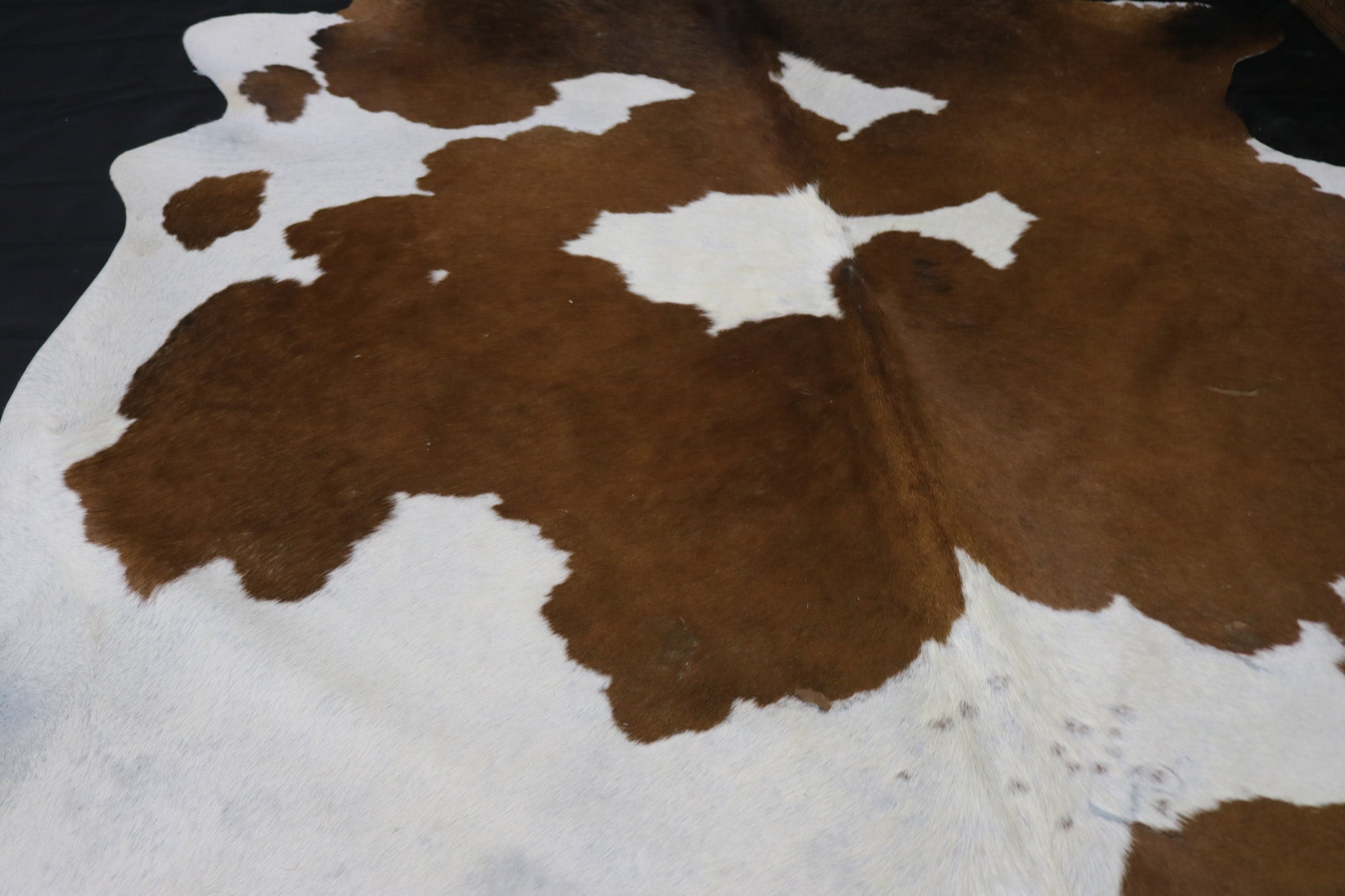 Fabulous Brown and White Cowhide Handcrafted in Brazil