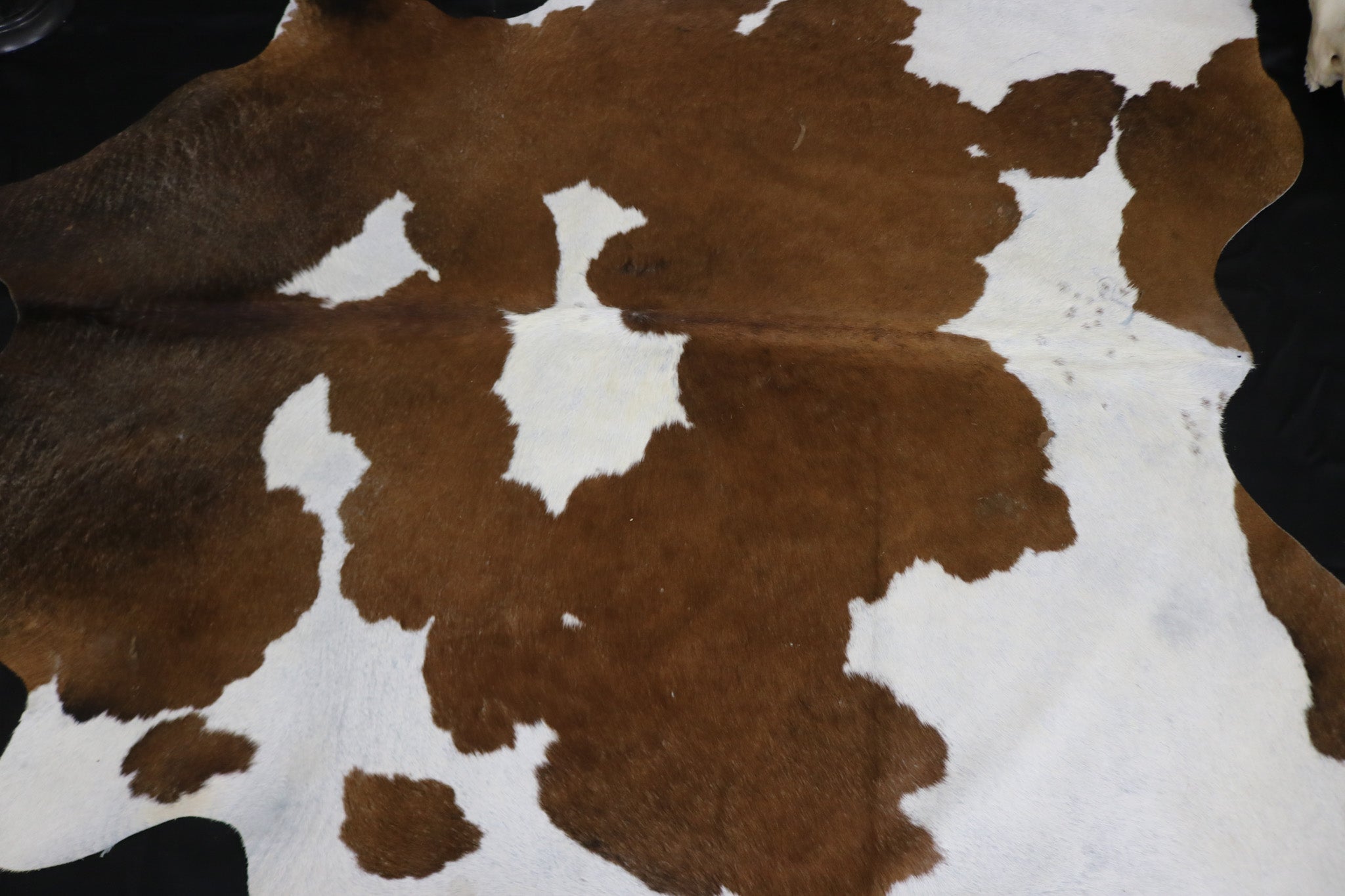 Fabulous Brown and White Cowhide Handcrafted in Brazil