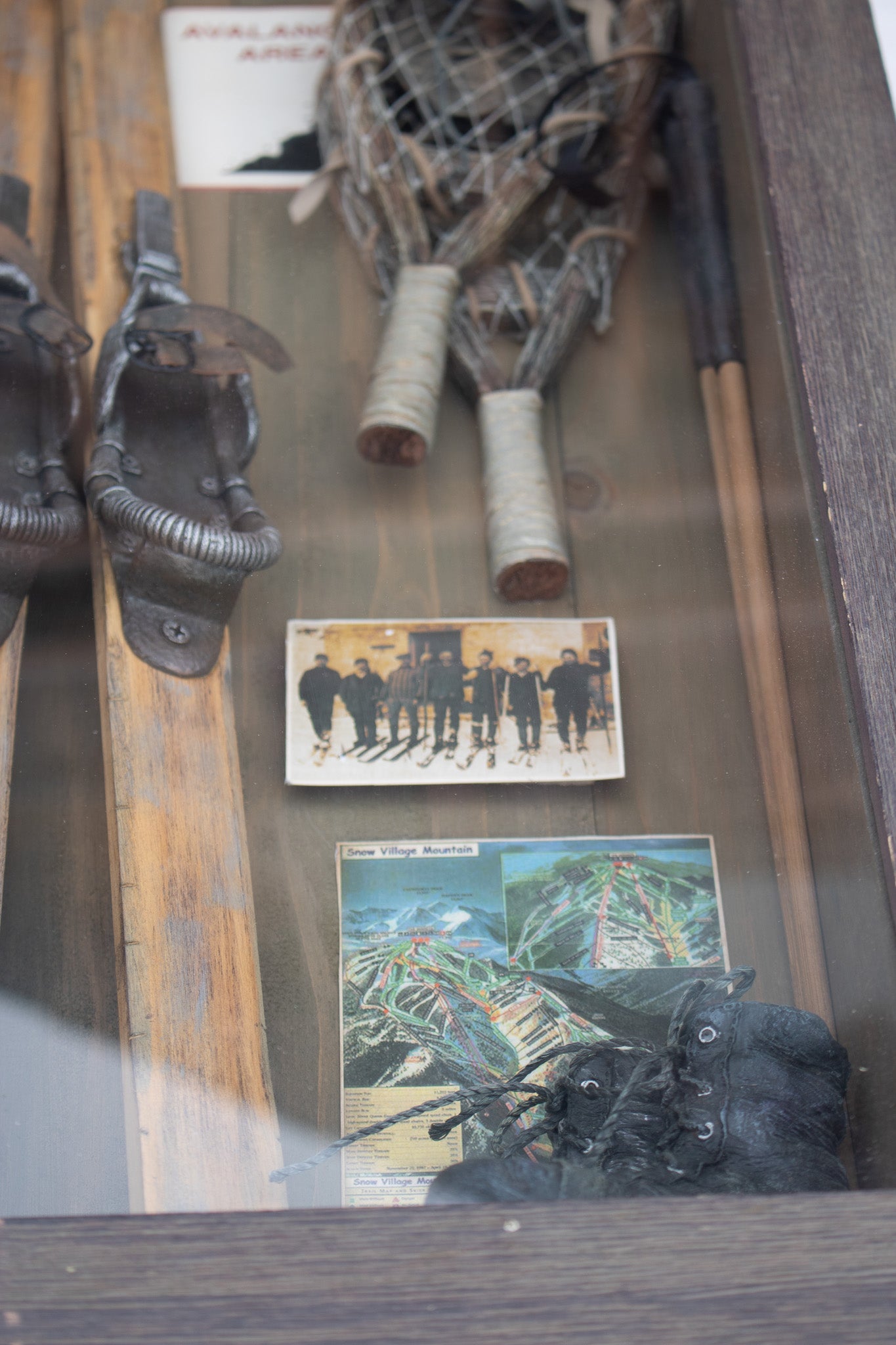 Curio Collection Skiing Model Windowpane with Certificate of Authenticity