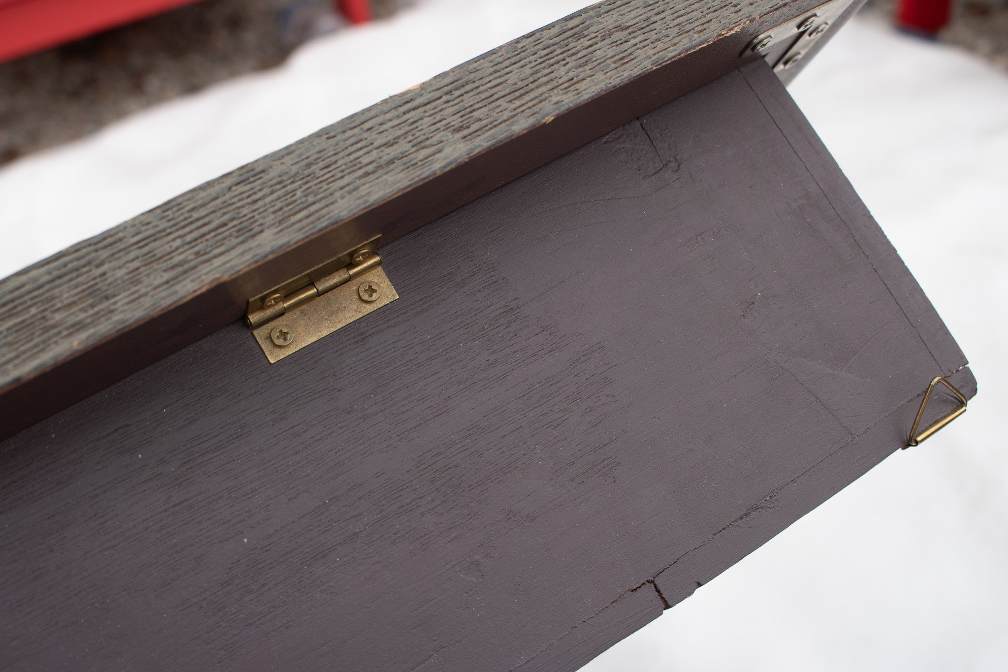 Curio Collection Skiing Model Windowpane with Certificate of Authenticity