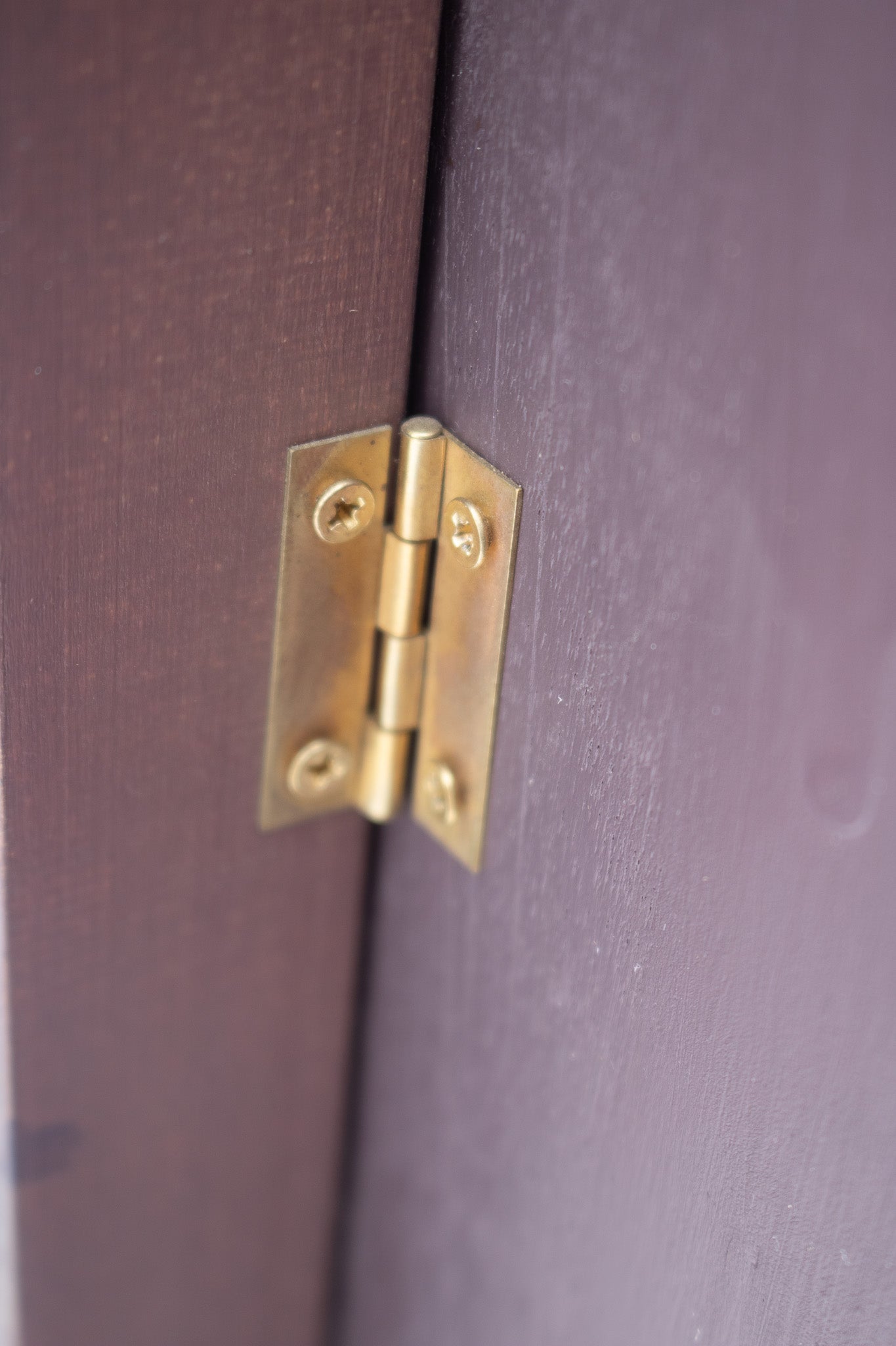 Curio Collection Skiing Model Windowpane with Certificate of Authenticity