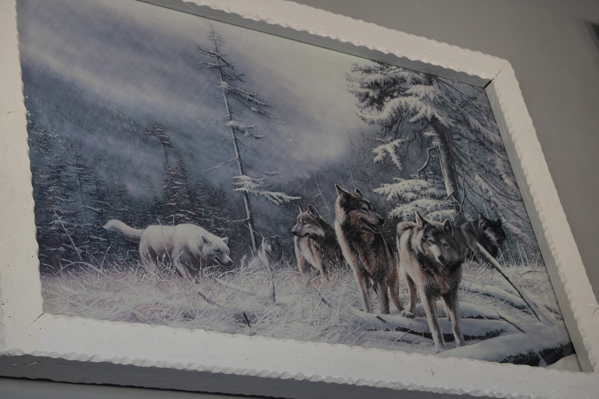 A Pack of Majestic Wolves Created By Kevin Daniel