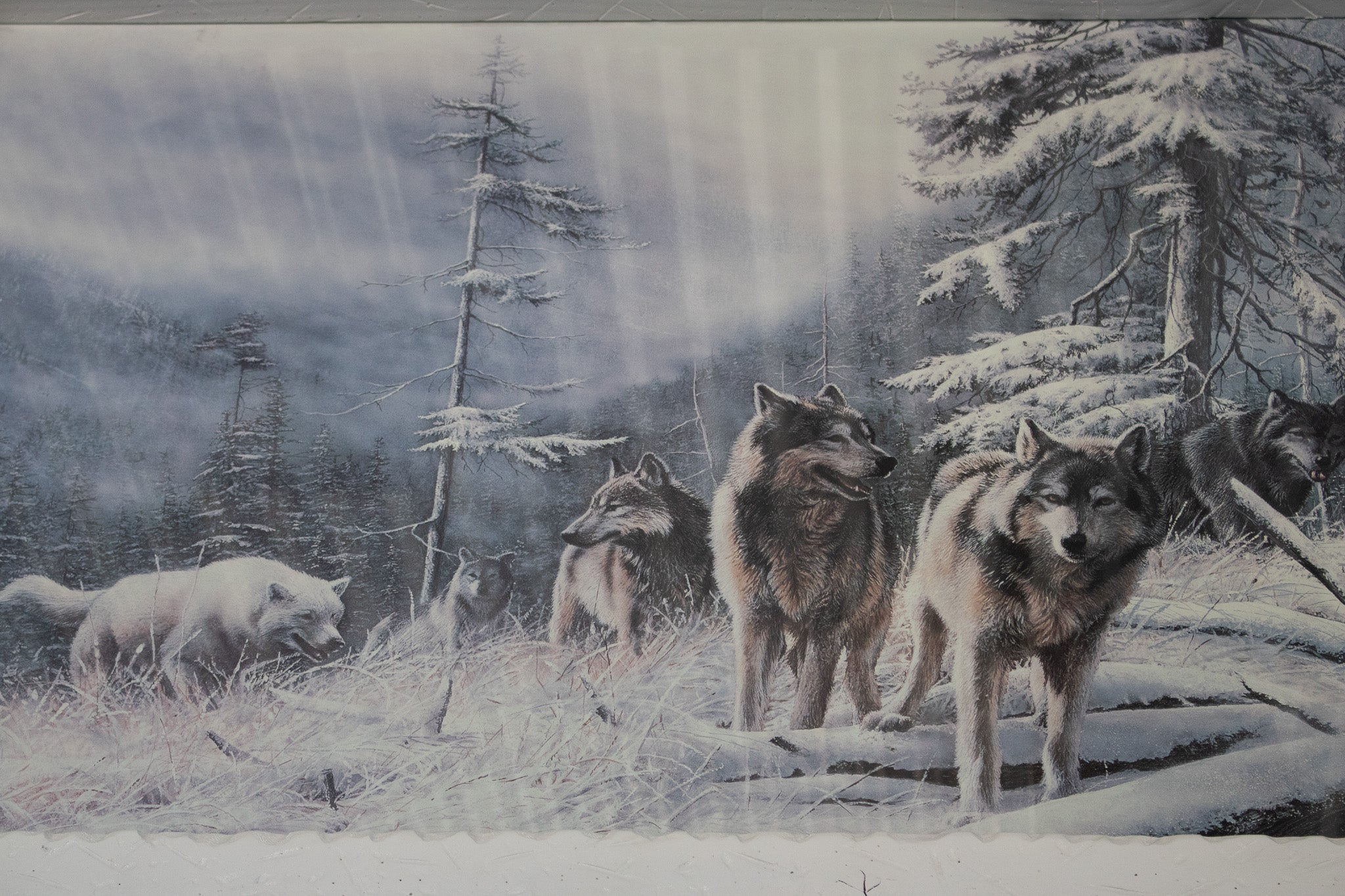A Pack of Majestic Wolves Created By Kevin Daniel
