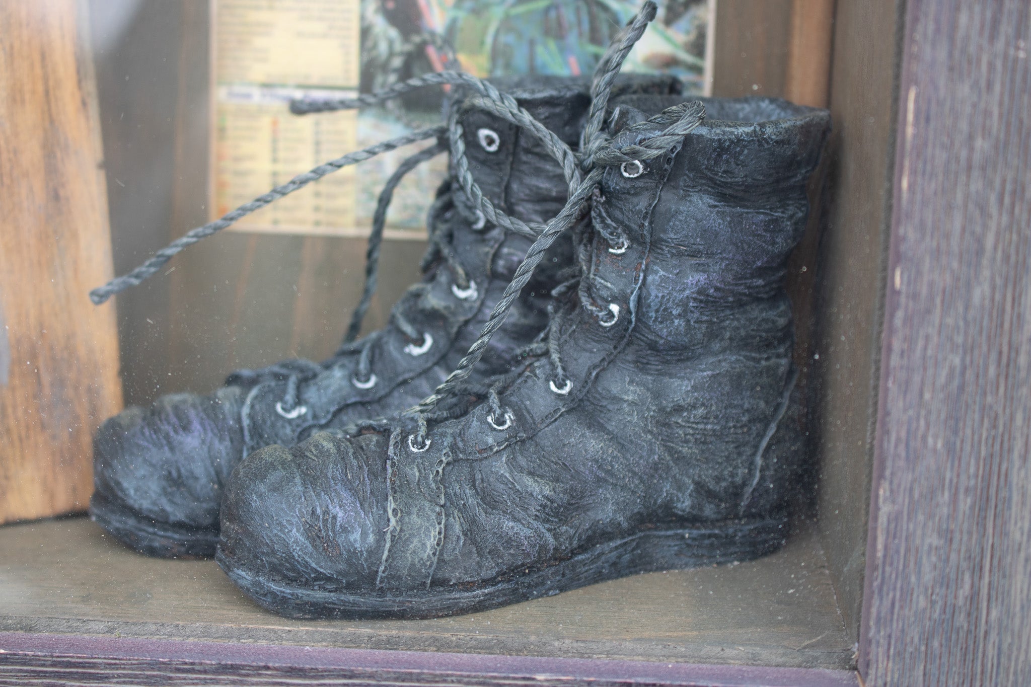 Curio Collection Skiing Model Windowpane with Certificate of Authenticity