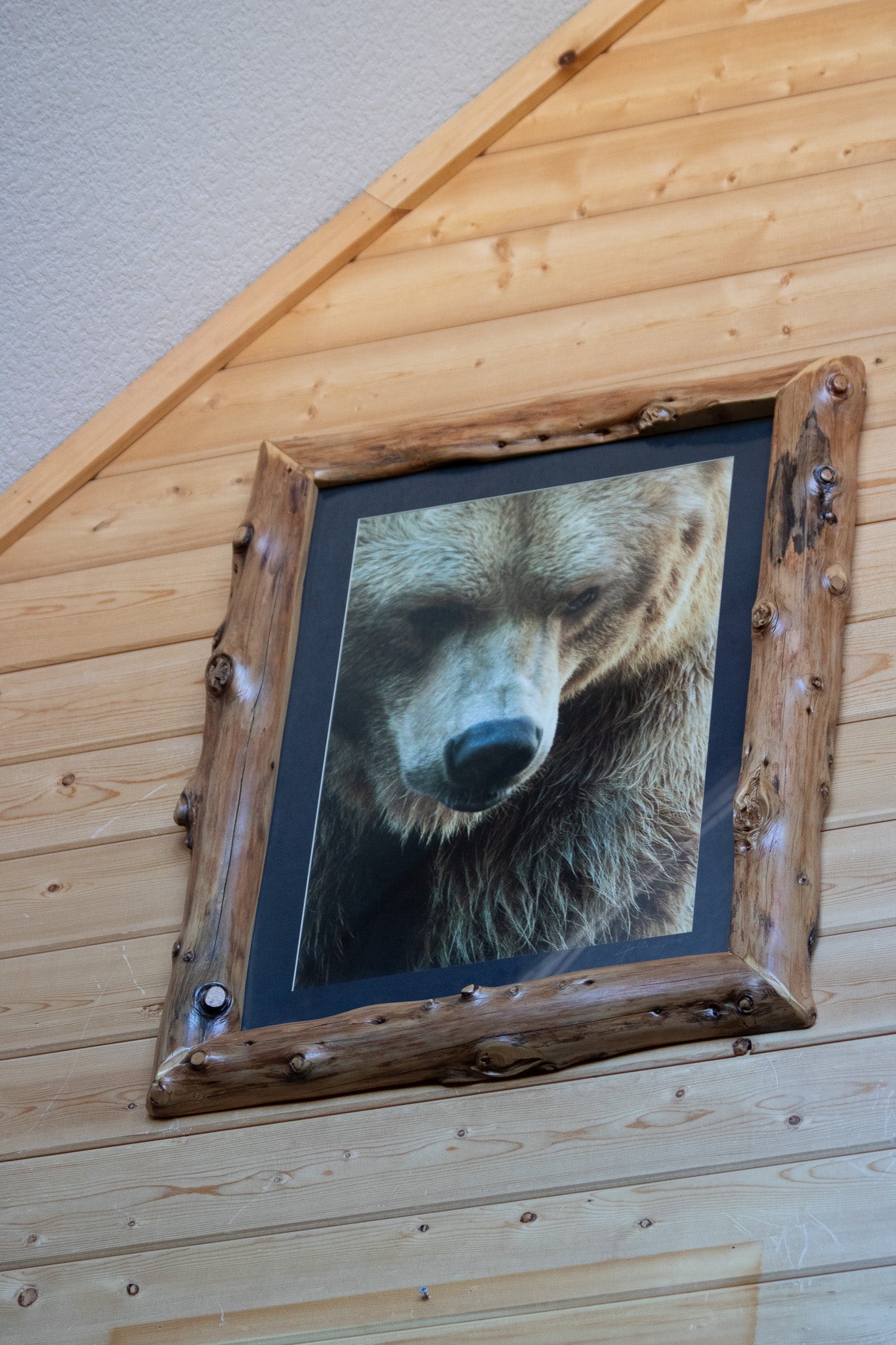 Original Alaskan Grizzly Bear Photo with Custom Log Frame