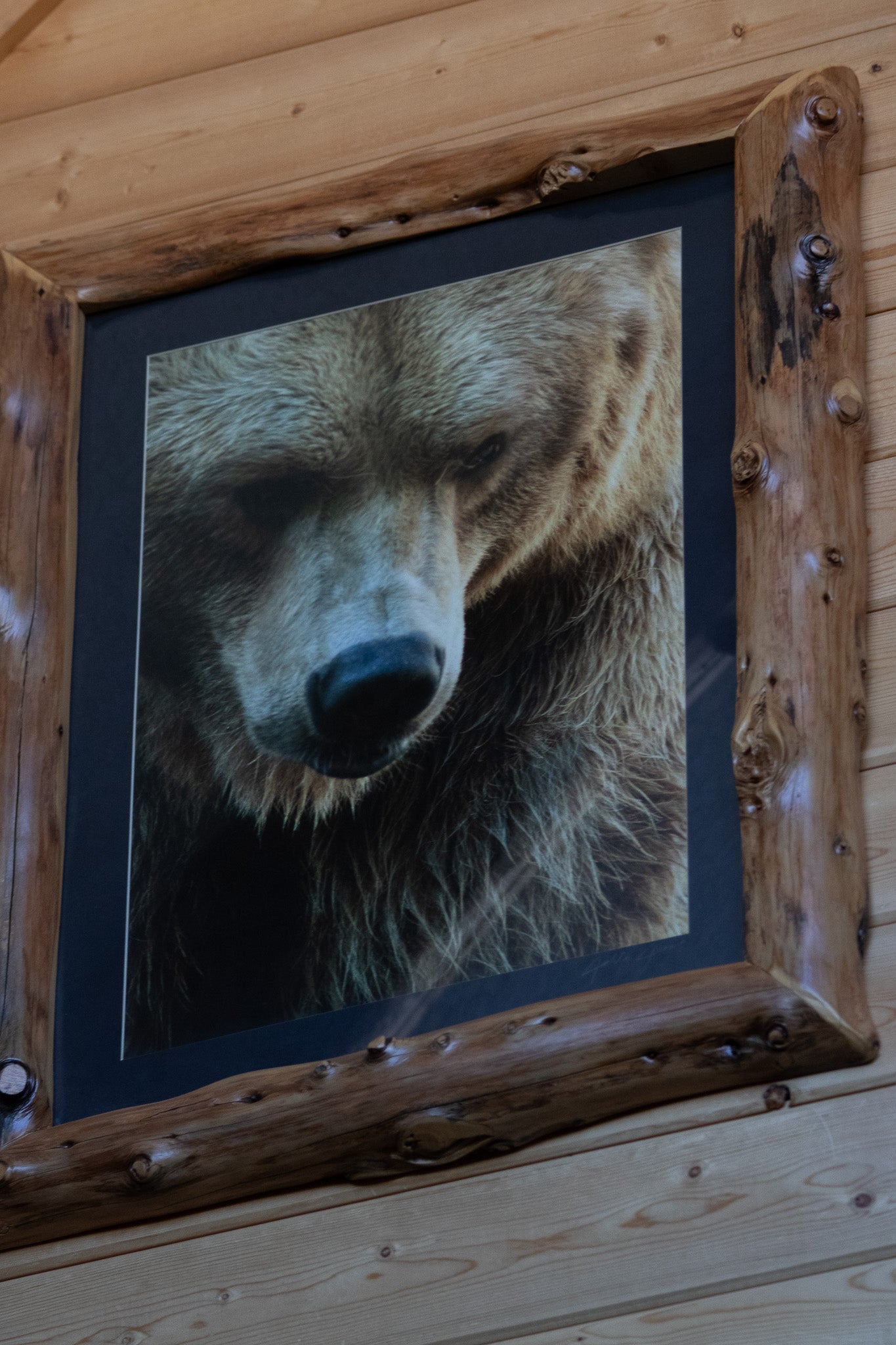 Original Alaskan Grizzly Bear Photo with Custom Log Frame