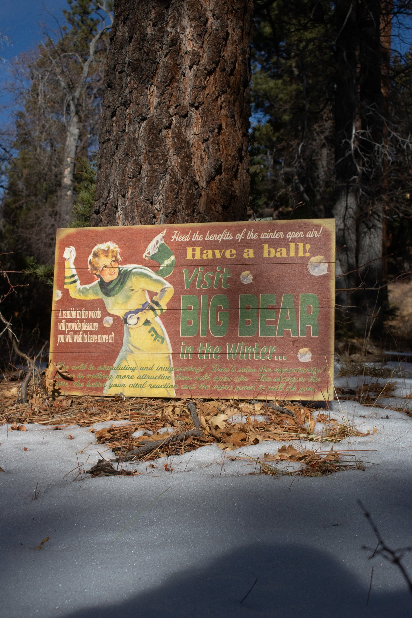 Big Bear Winter Adventure ''Have a Ball!'' Decorative Wooden Hand Painted Sign