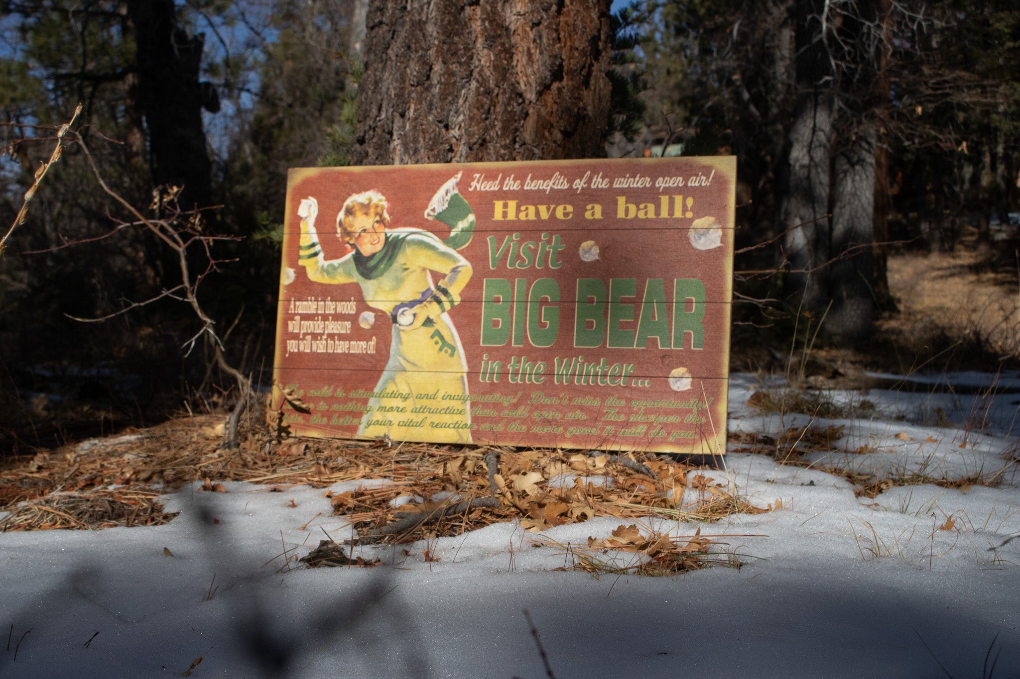 Big Bear Winter Adventure ''Have a Ball!'' Decorative Wooden Hand Painted Sign
