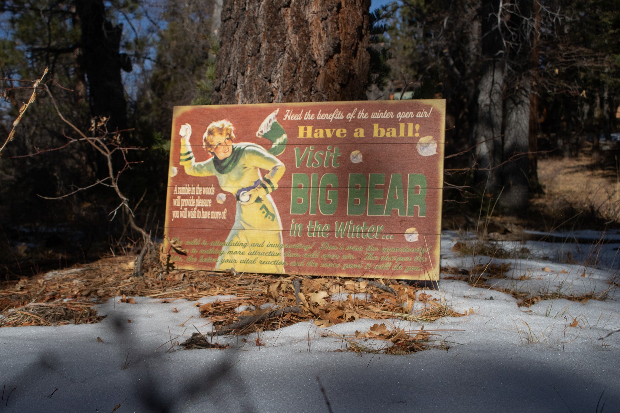 Big Bear Winter Adventure ''Have a Ball!'' Decorative Wooden Hand Painted Sign