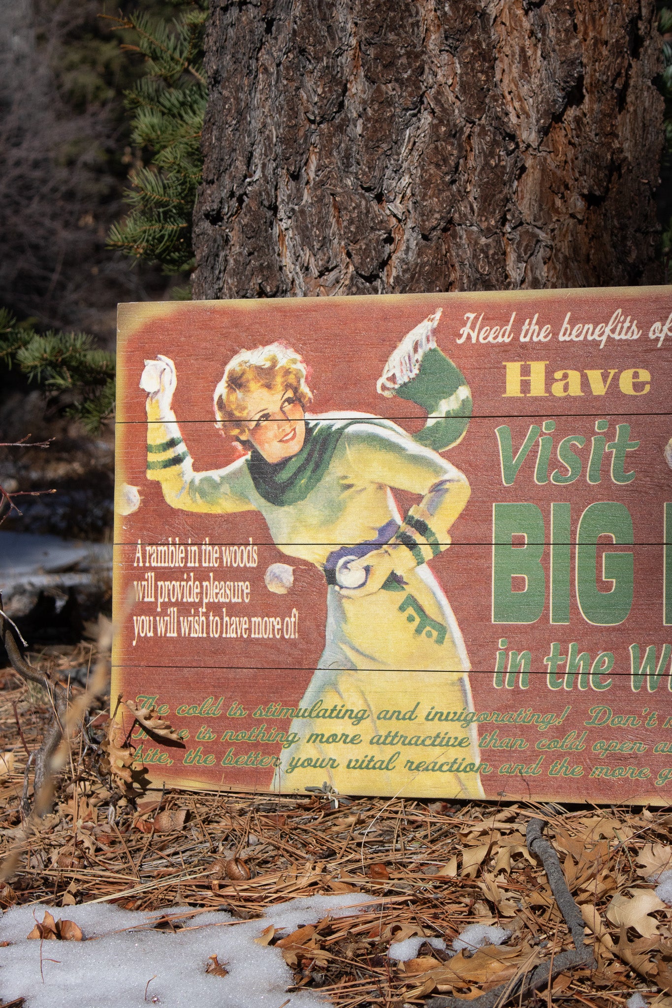 Big Bear Winter Adventure ''Have a Ball!'' Decorative Wooden Hand Painted Sign