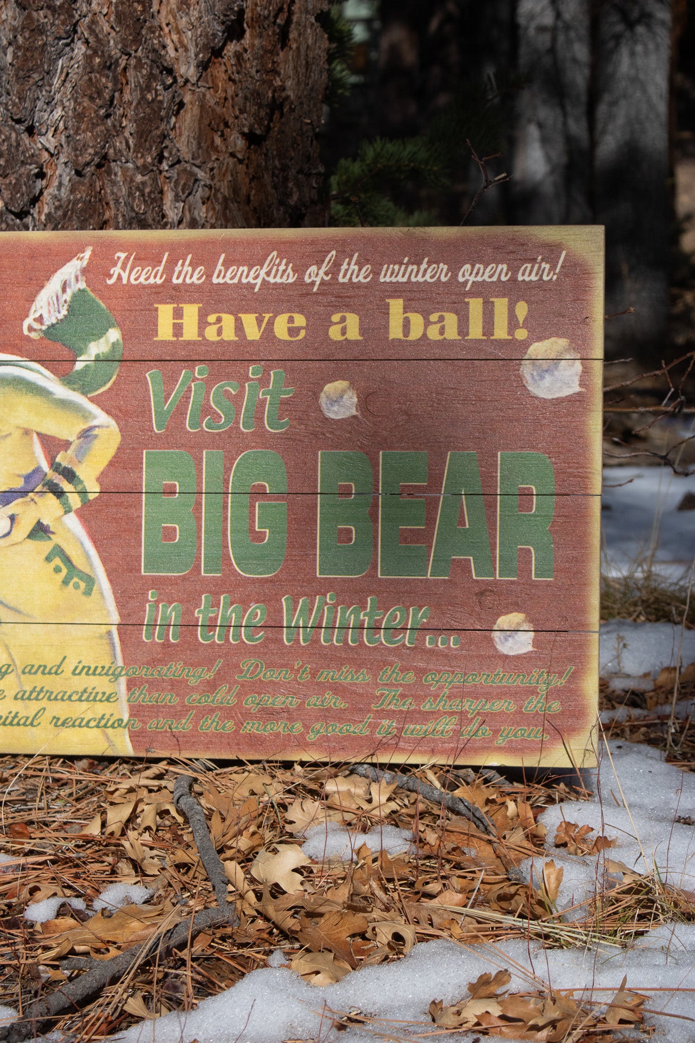 Big Bear Winter Adventure ''Have a Ball!'' Decorative Wooden Hand Painted Sign