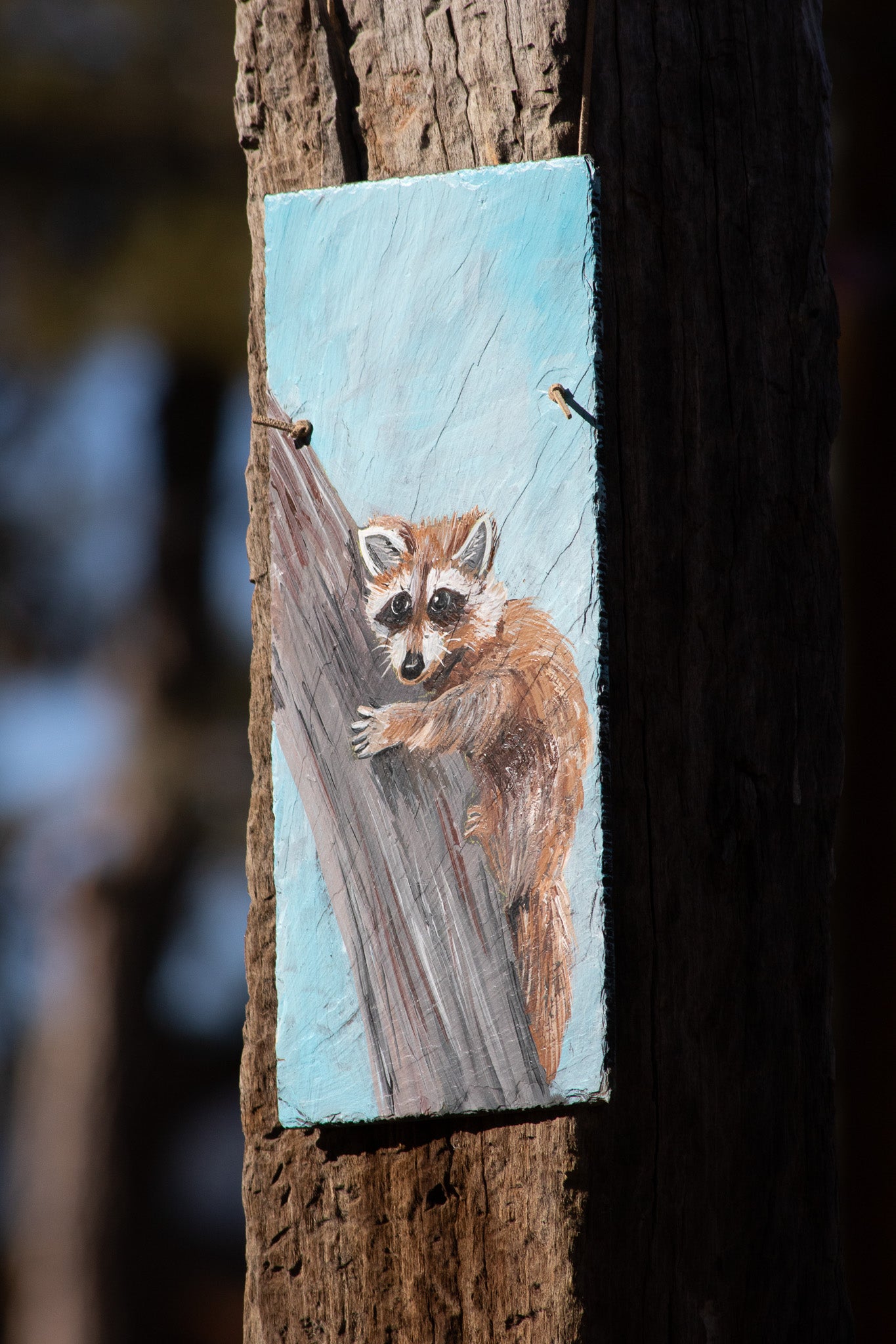 Metal Sign Painting of Racoon