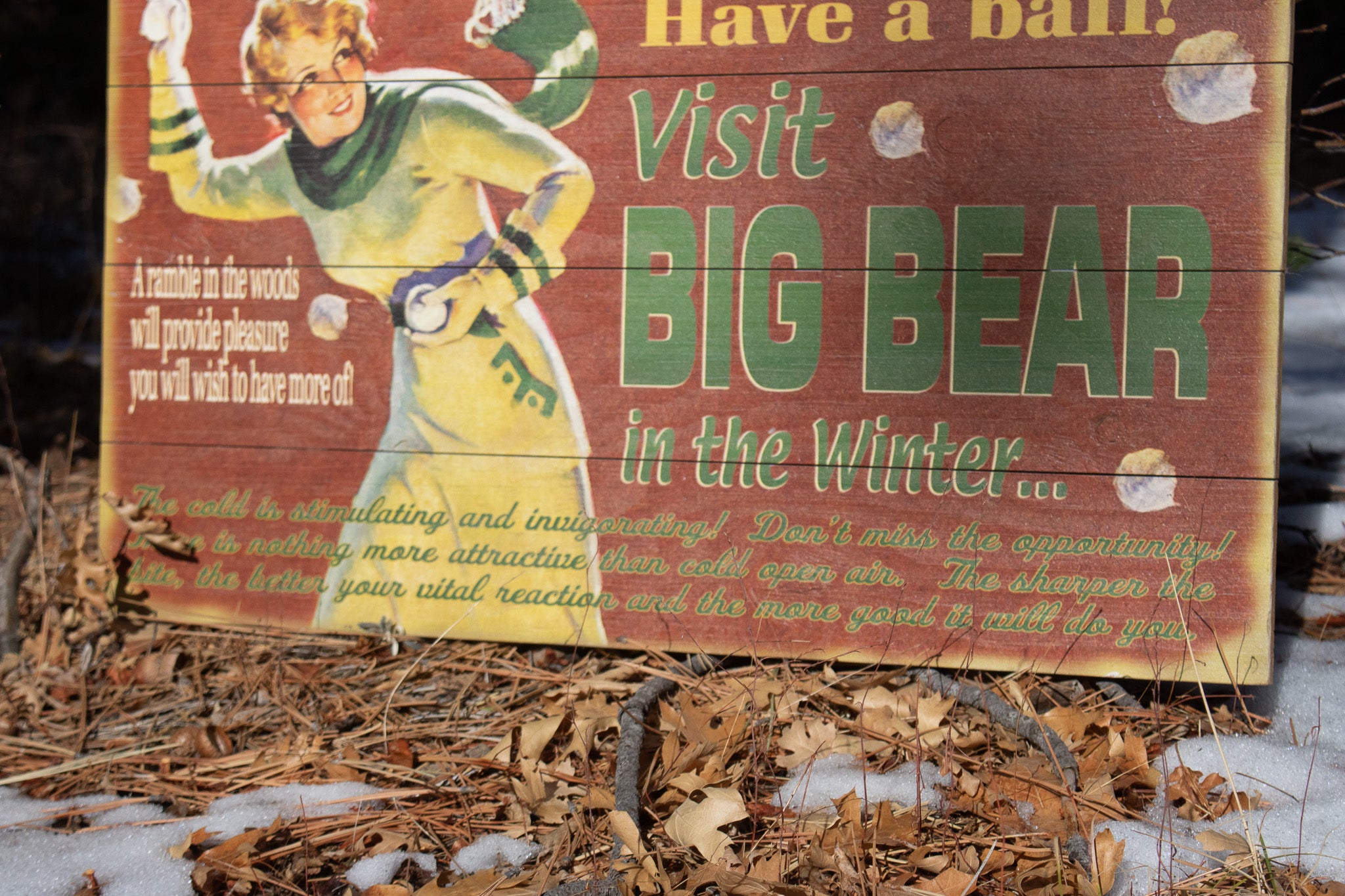 Big Bear Winter Adventure ''Have a Ball!'' Decorative Wooden Hand Painted Sign