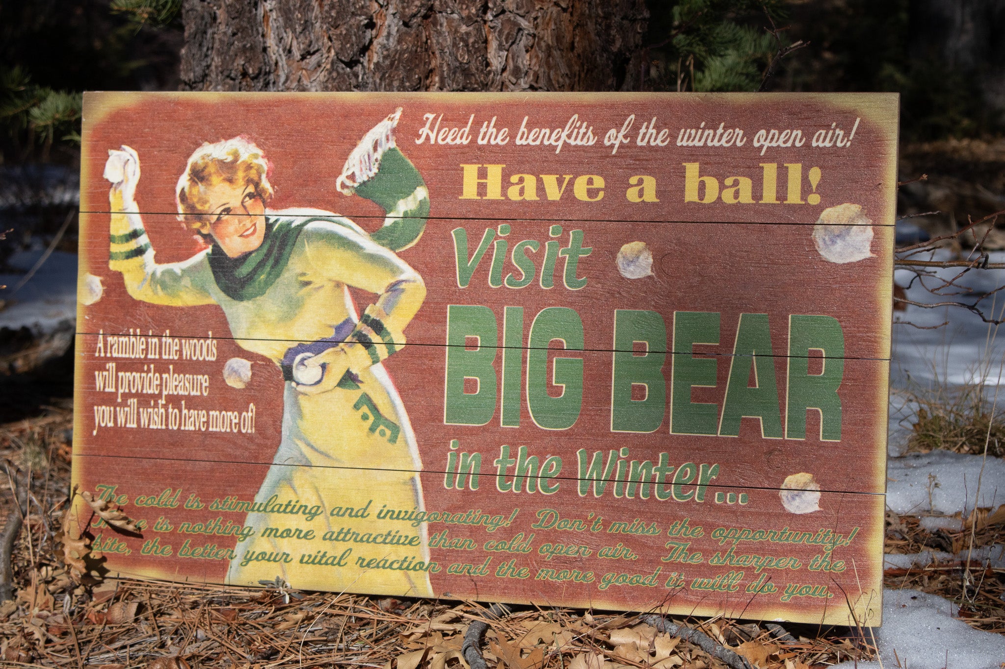 Big Bear Winter Adventure ''Have a Ball!'' Decorative Wooden Hand Painted Sign