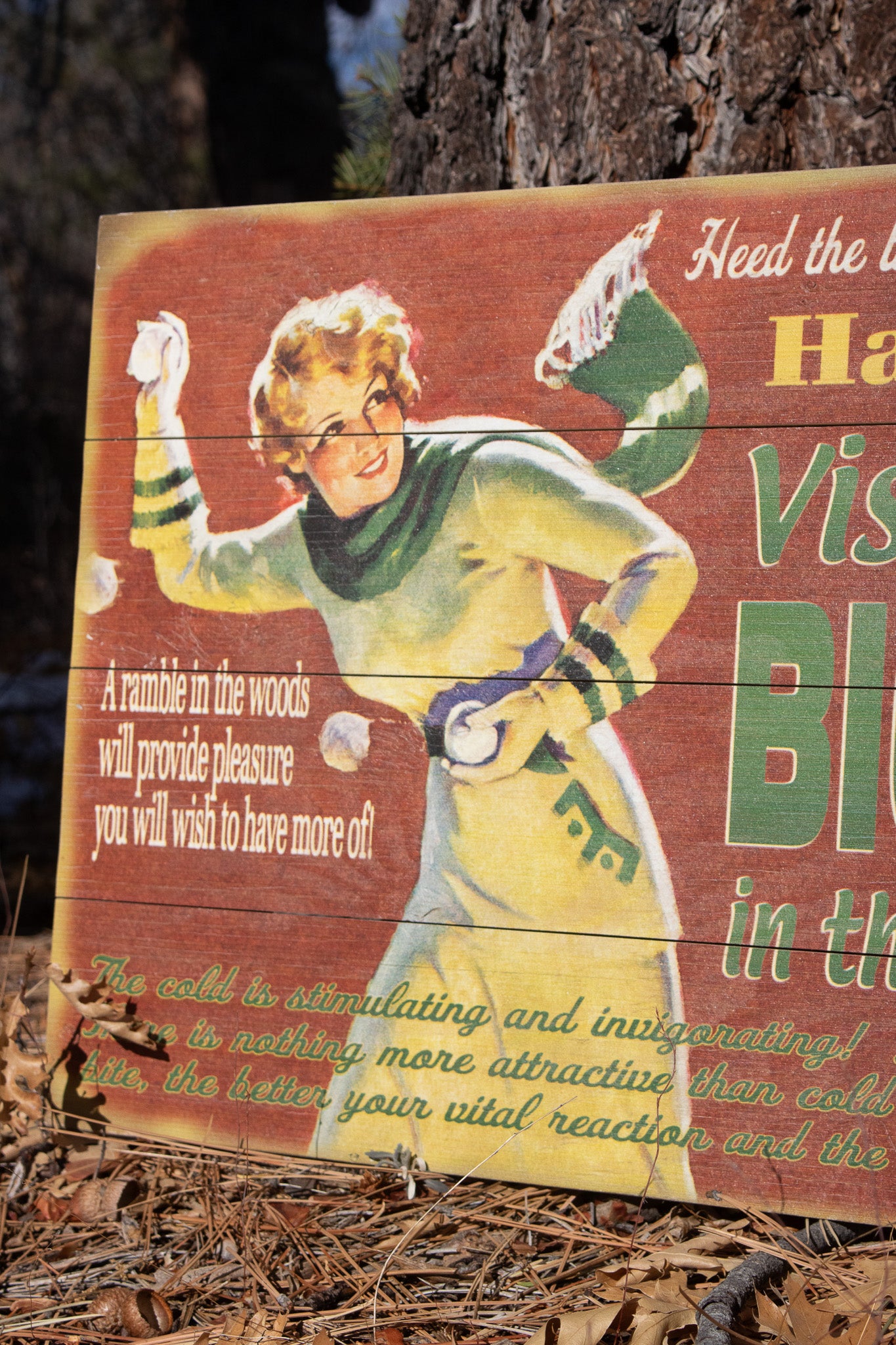 Big Bear Winter Adventure ''Have a Ball!'' Decorative Wooden Hand Painted Sign