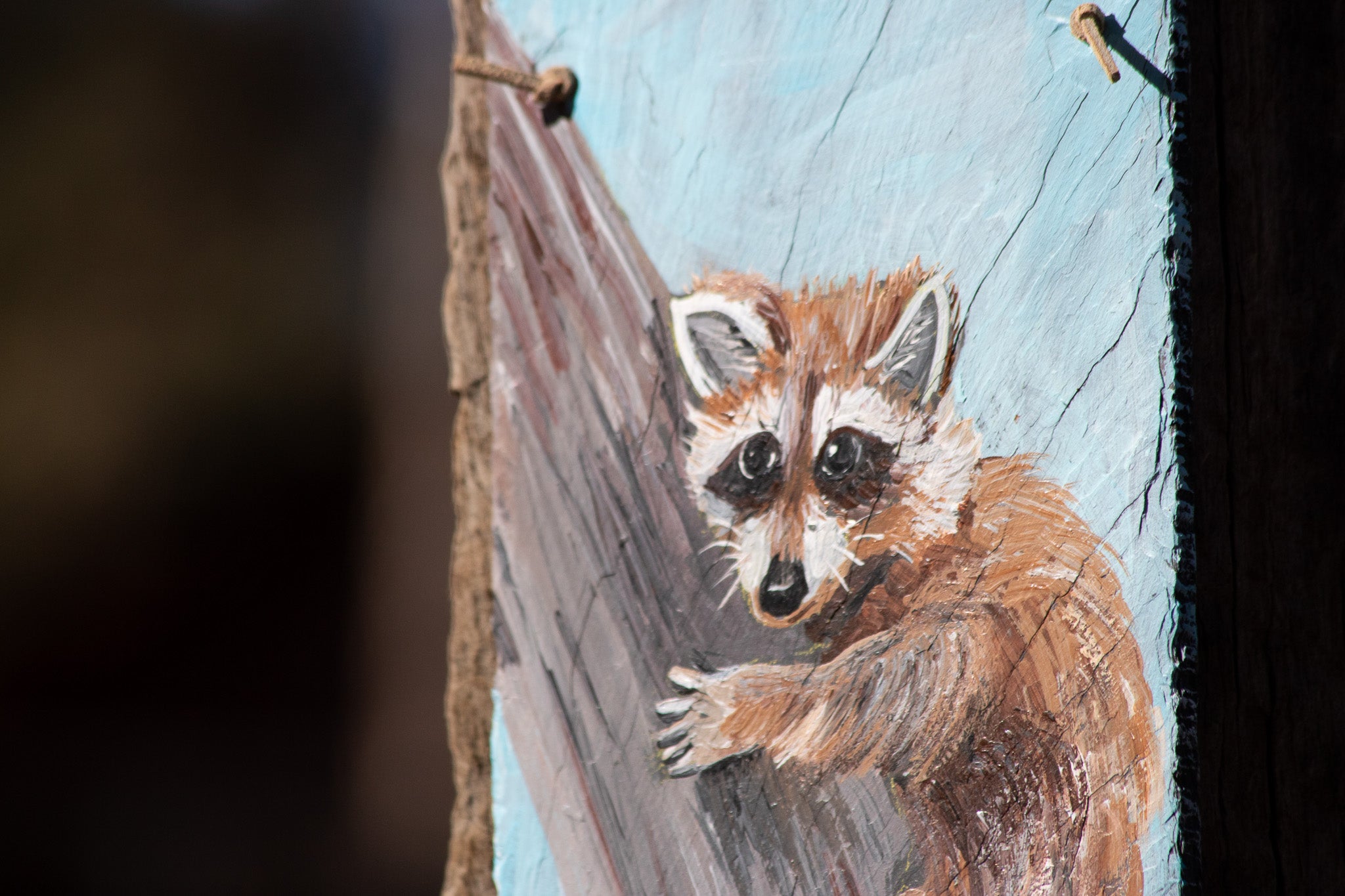 Metal Sign Painting of Racoon