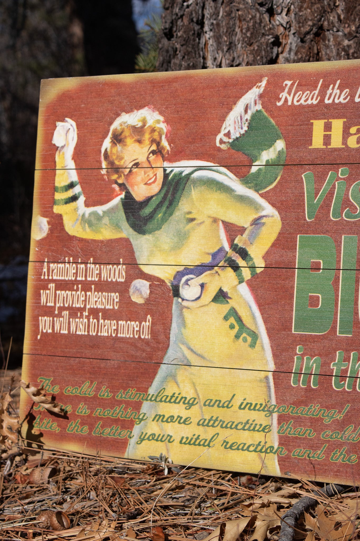 Big Bear Winter Adventure ''Have a Ball!'' Decorative Wooden Hand Painted Sign