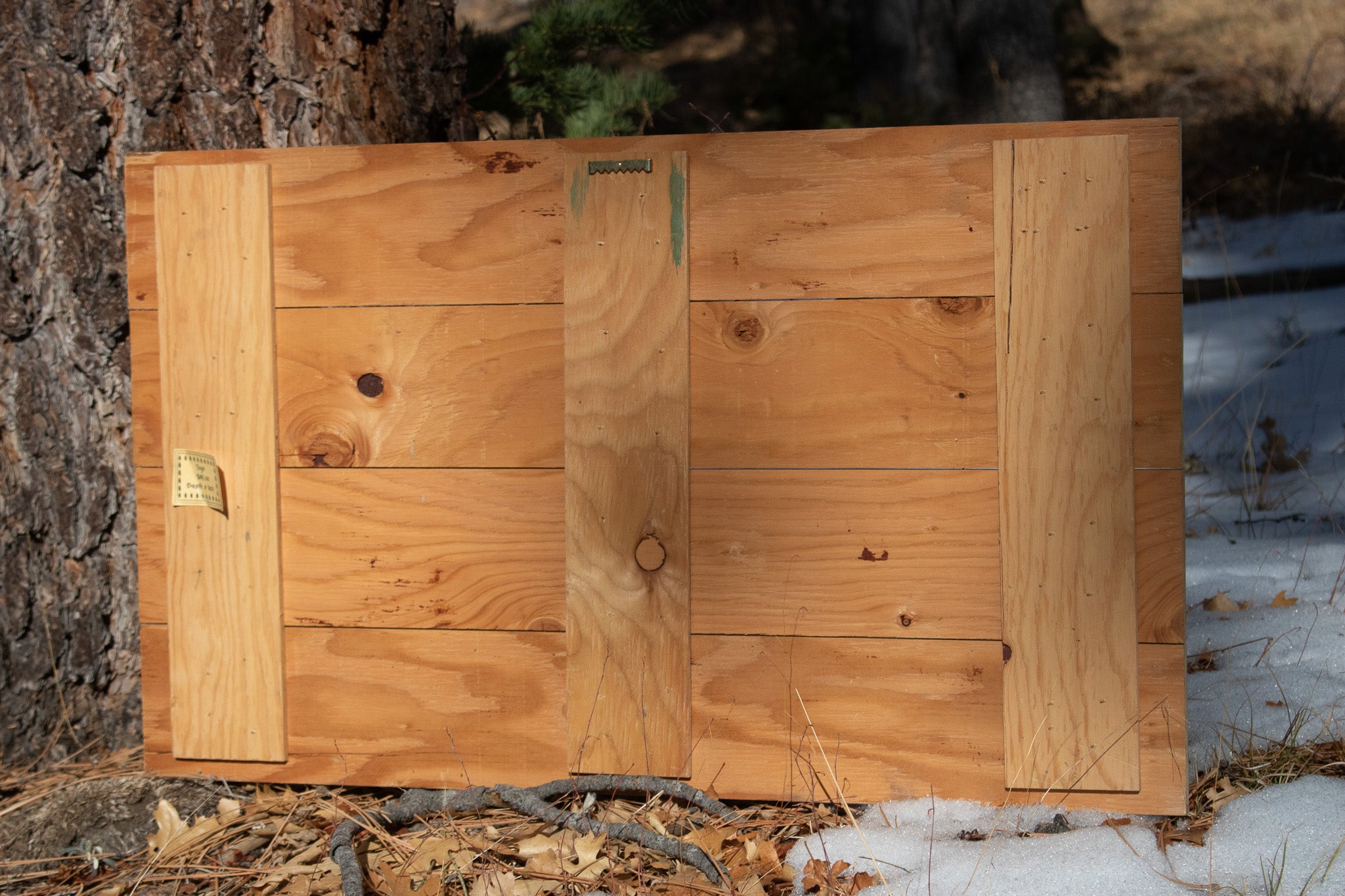 Big Bear Winter Adventure ''Have a Ball!'' Decorative Wooden Hand Painted Sign