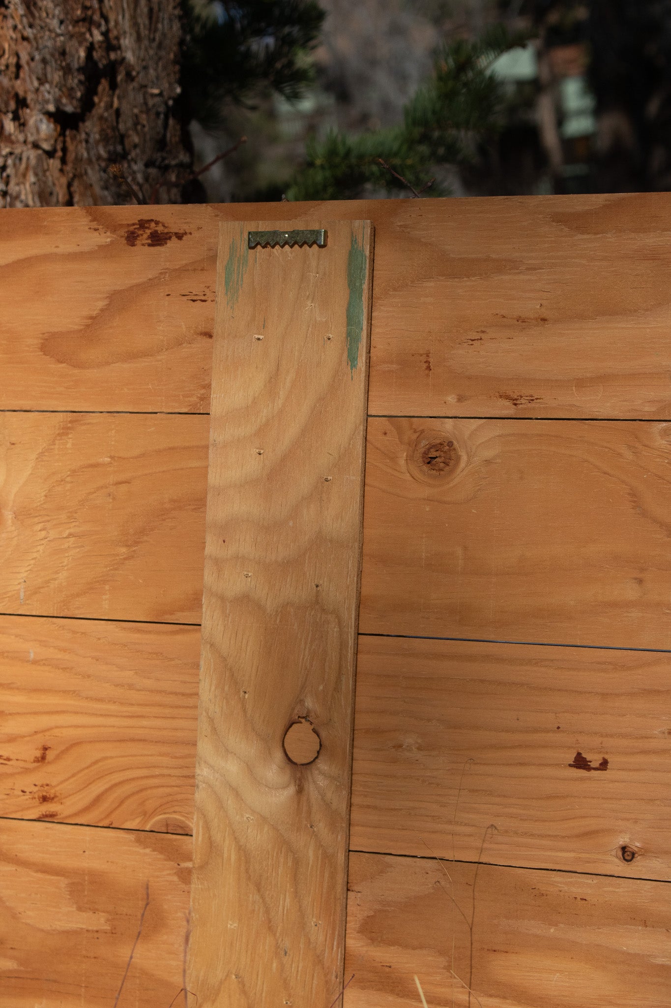 Big Bear Winter Adventure ''Have a Ball!'' Decorative Wooden Hand Painted Sign