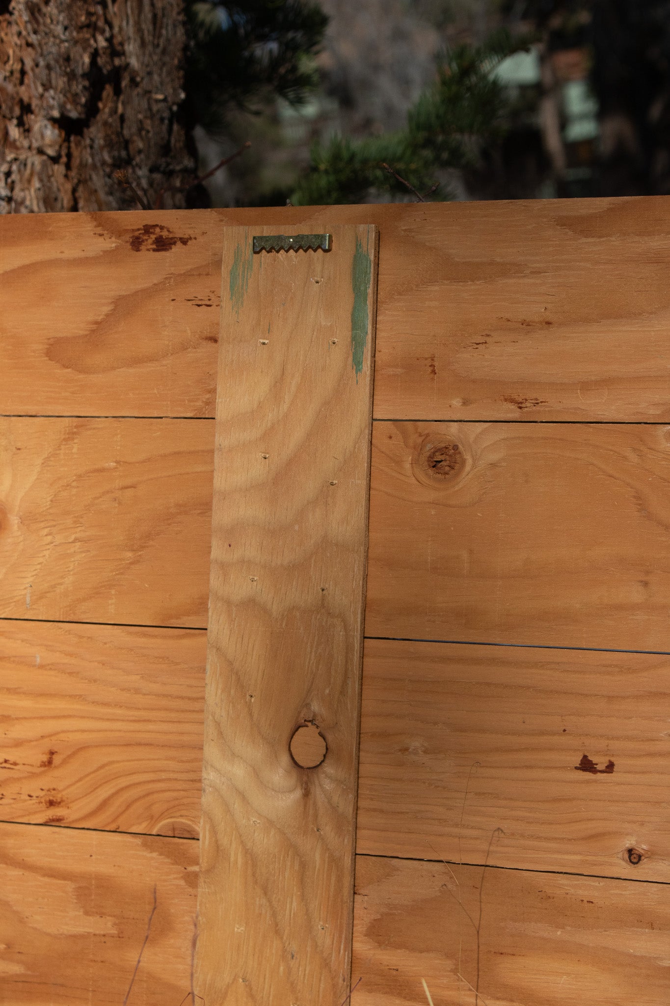 Big Bear Winter Adventure ''Have a Ball!'' Decorative Wooden Hand Painted Sign