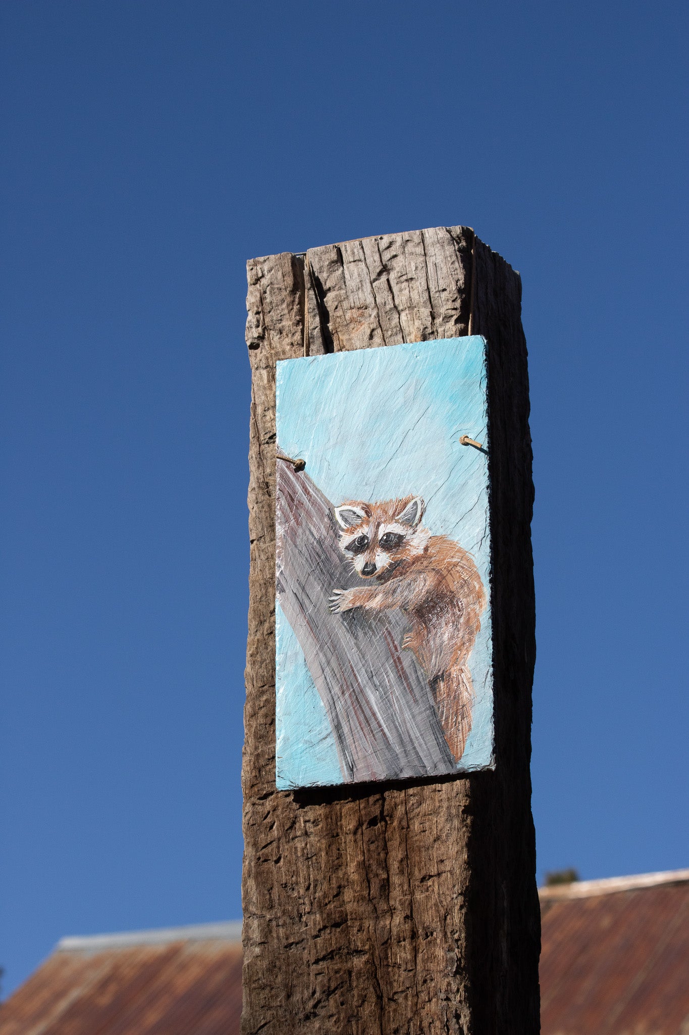 Metal Sign Painting of Racoon