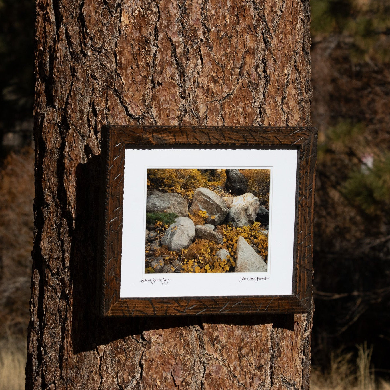 Original Picture taken by John Charles Hummel "Autumn Boulder Bay" Location Big Bear Lake California September 10, 2009