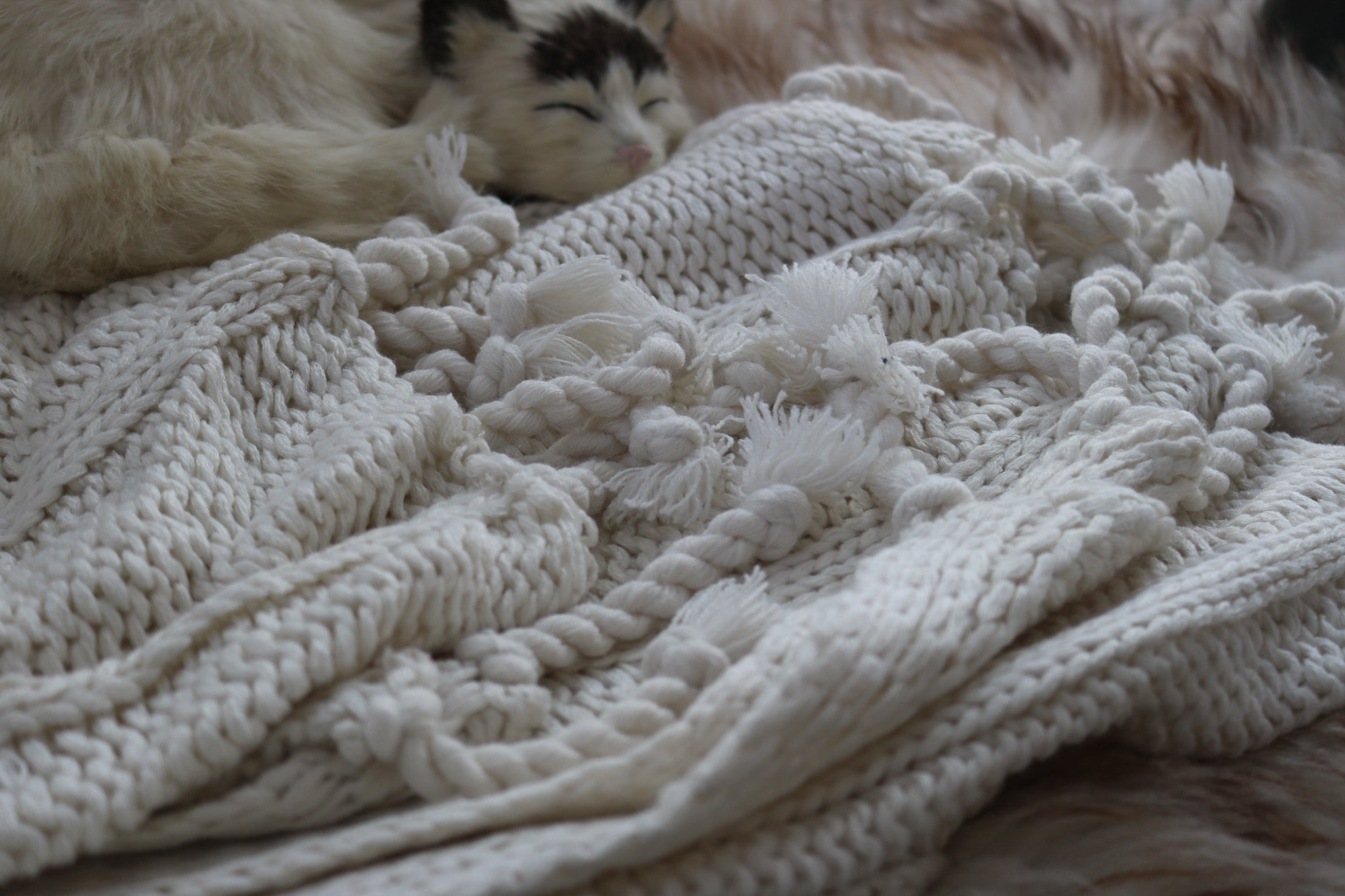 Pottery Barn Bryson White Luxuriously Knitted Soft Throw Blanket 50 x 60 Inches