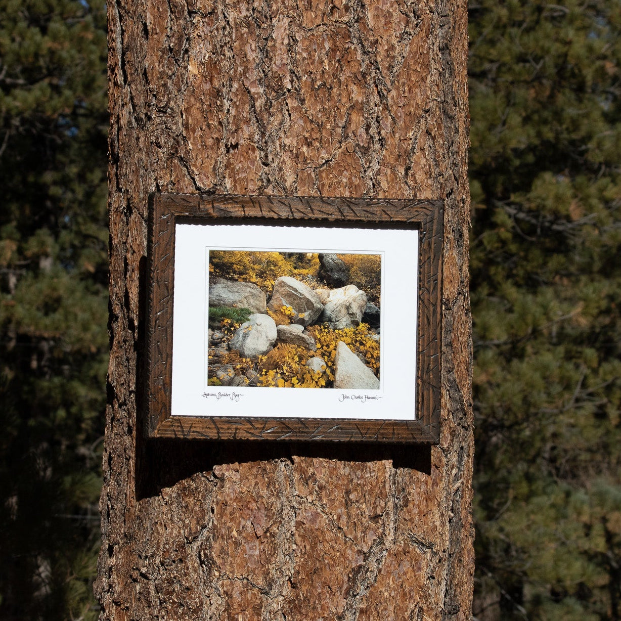Original Picture taken by John Charles Hummel "Autumn Boulder Bay" Location Big Bear Lake California September 10, 2009