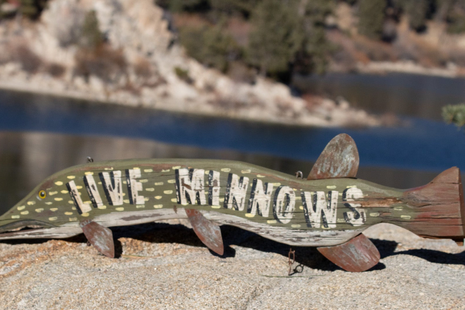 "Live Minnows" Hand Painted Wooded Sign