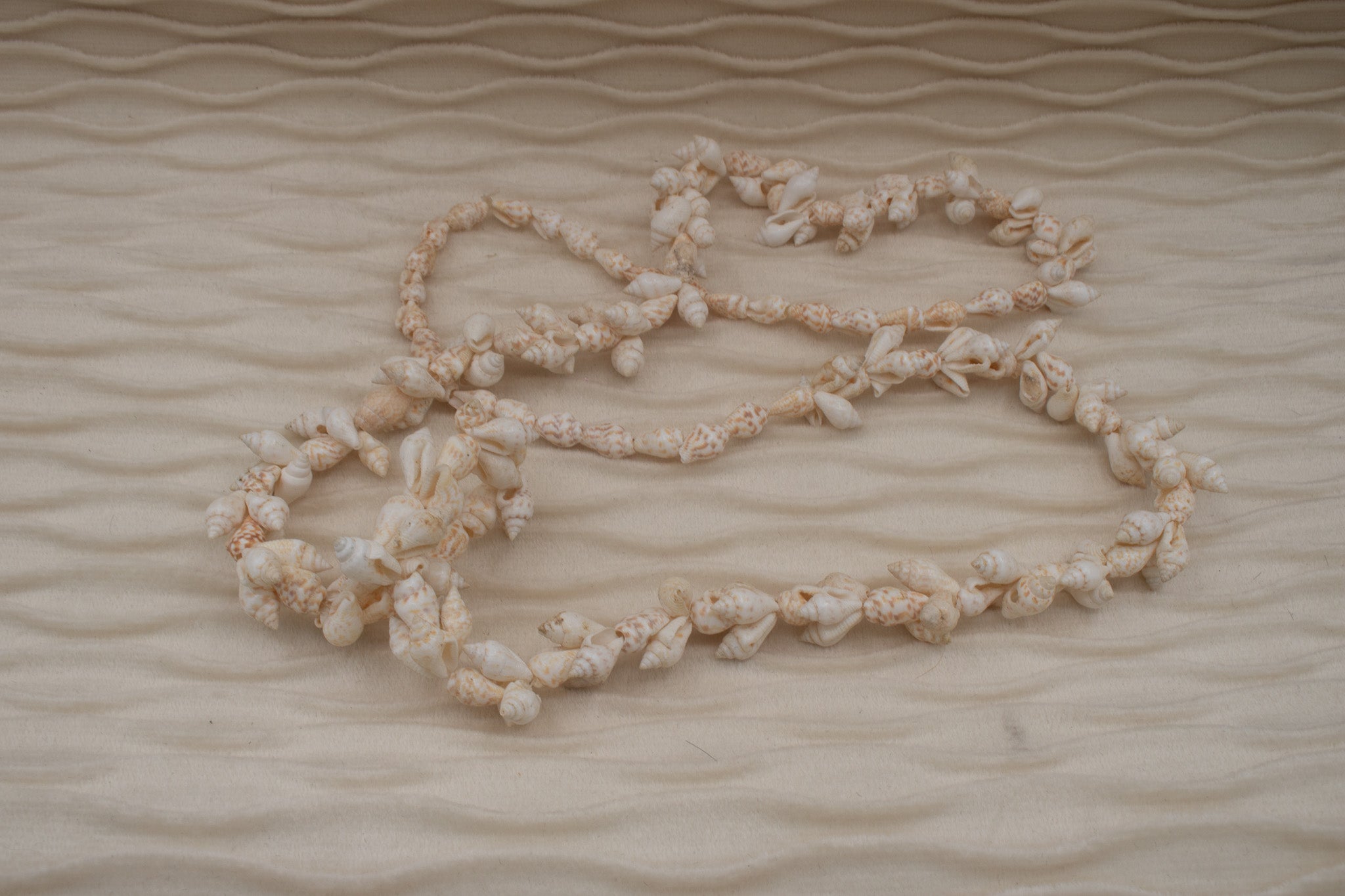 Cowrie Seashell Long Necklace