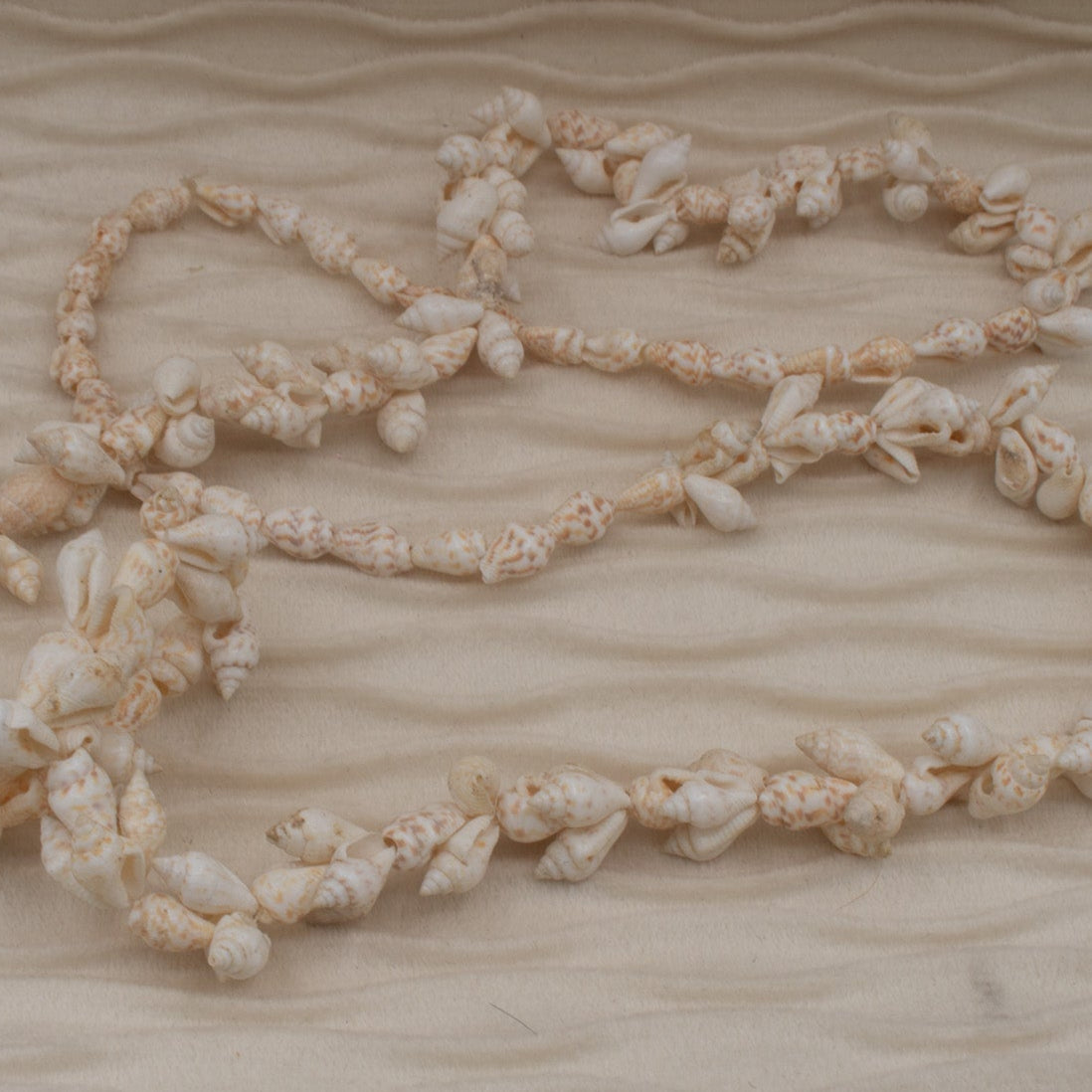 Cowrie Seashell Long Necklace
