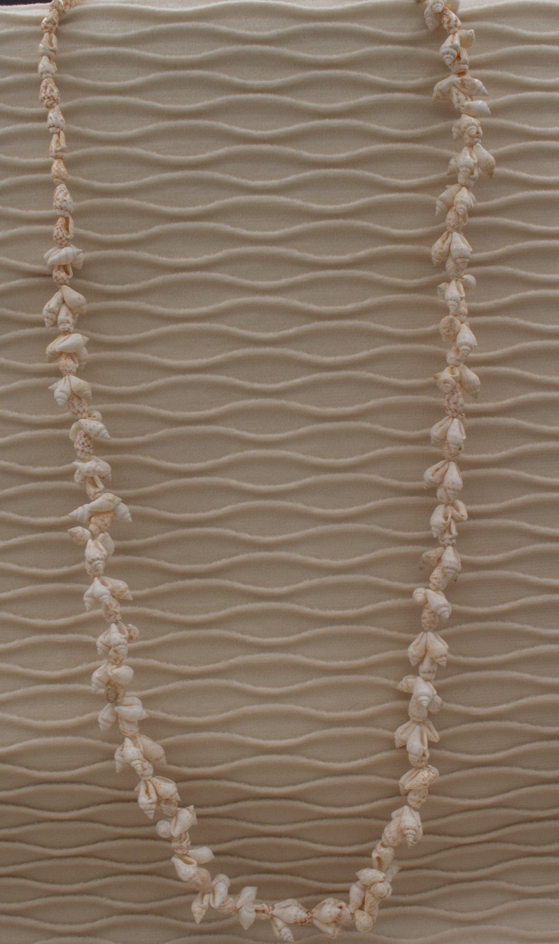 Cowrie Seashell Long Necklace