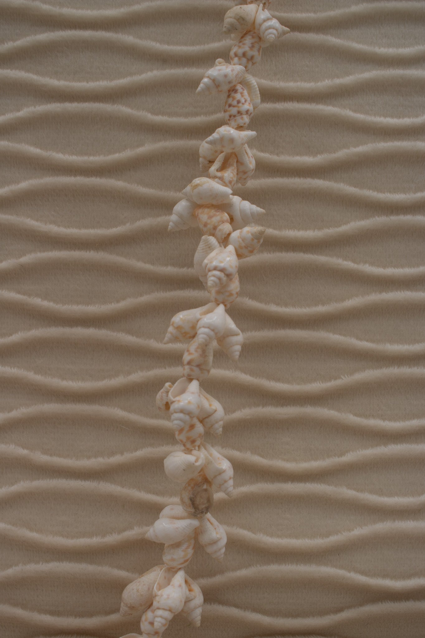 Cowrie Seashell Long Necklace