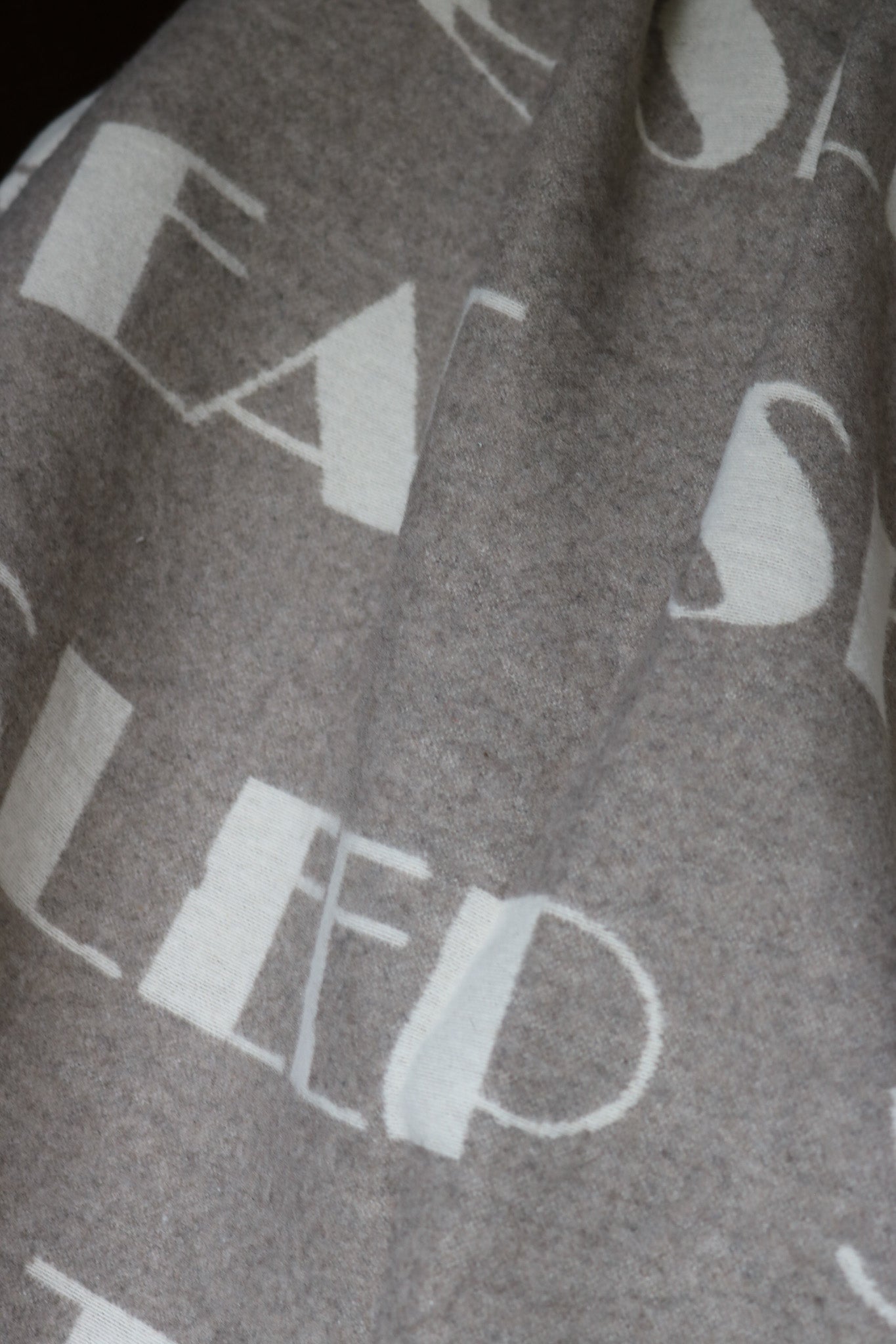 David Fussenegger Reversible Throw Blanket Grey & White "Sleep, Ski, Repeat" Design