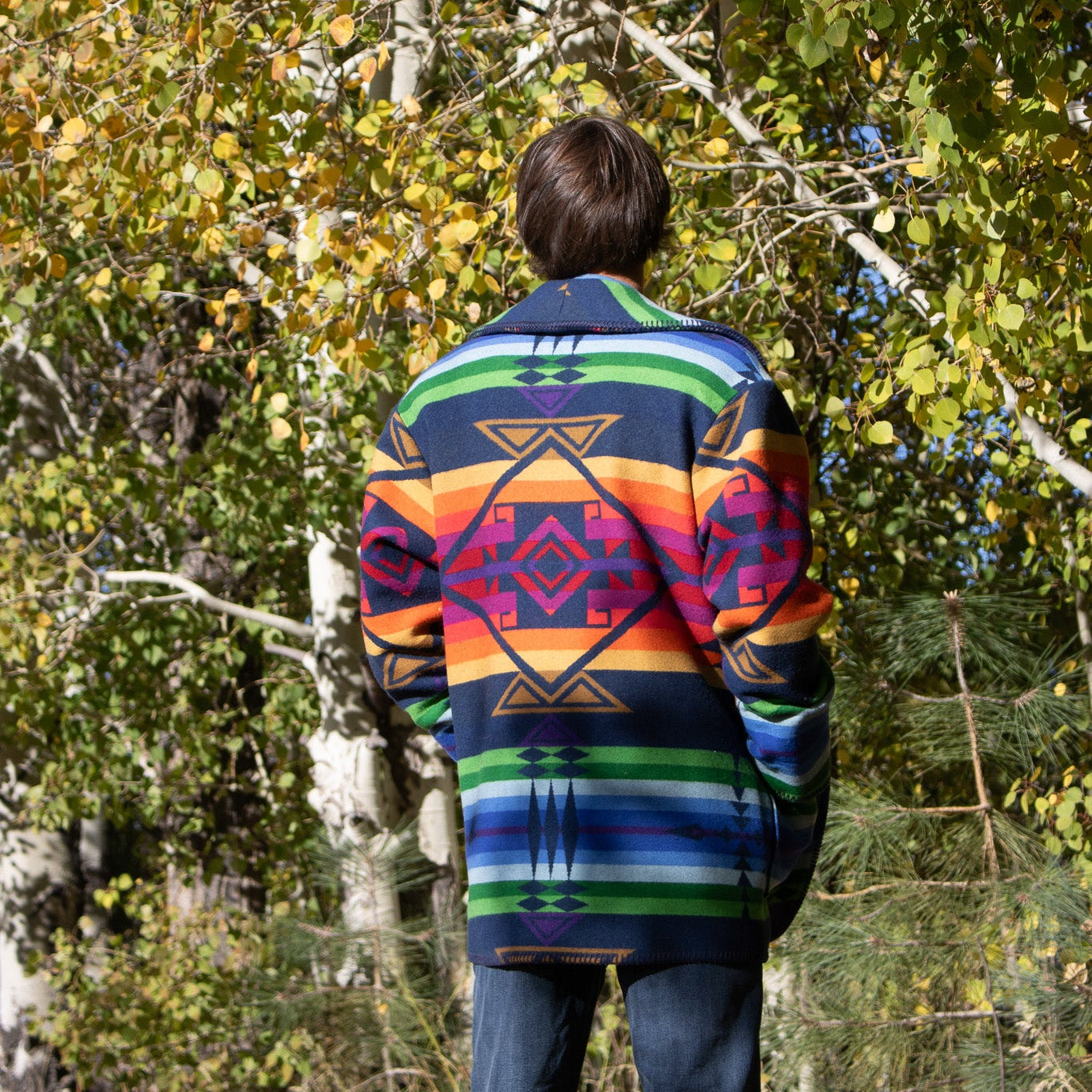 Vintage Country Sophisticates by Pendleton Aztec Wool Blazer Size Medium