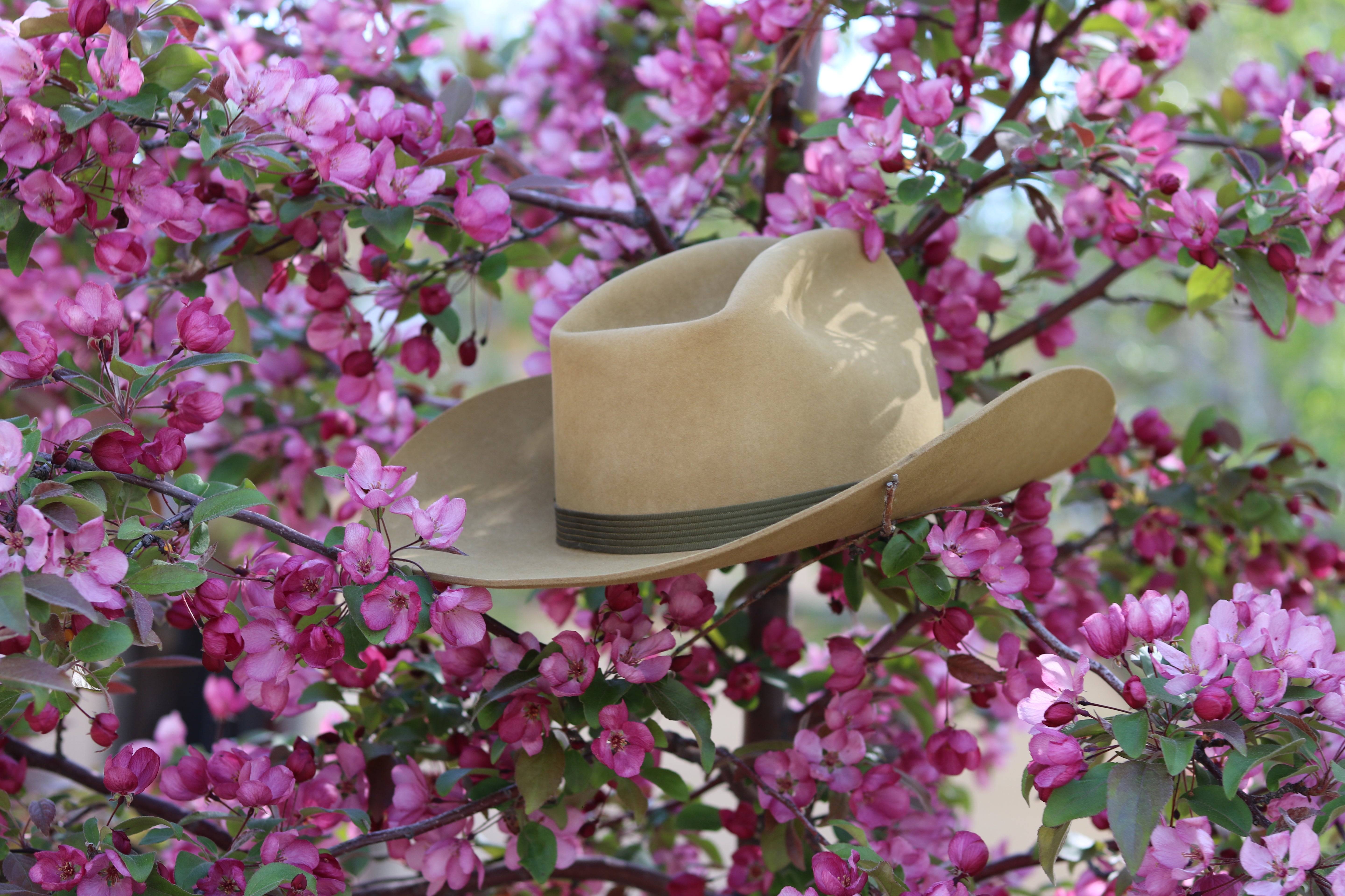 Bradford Glyco-Tite Process Fur Felt Cowboy Hat