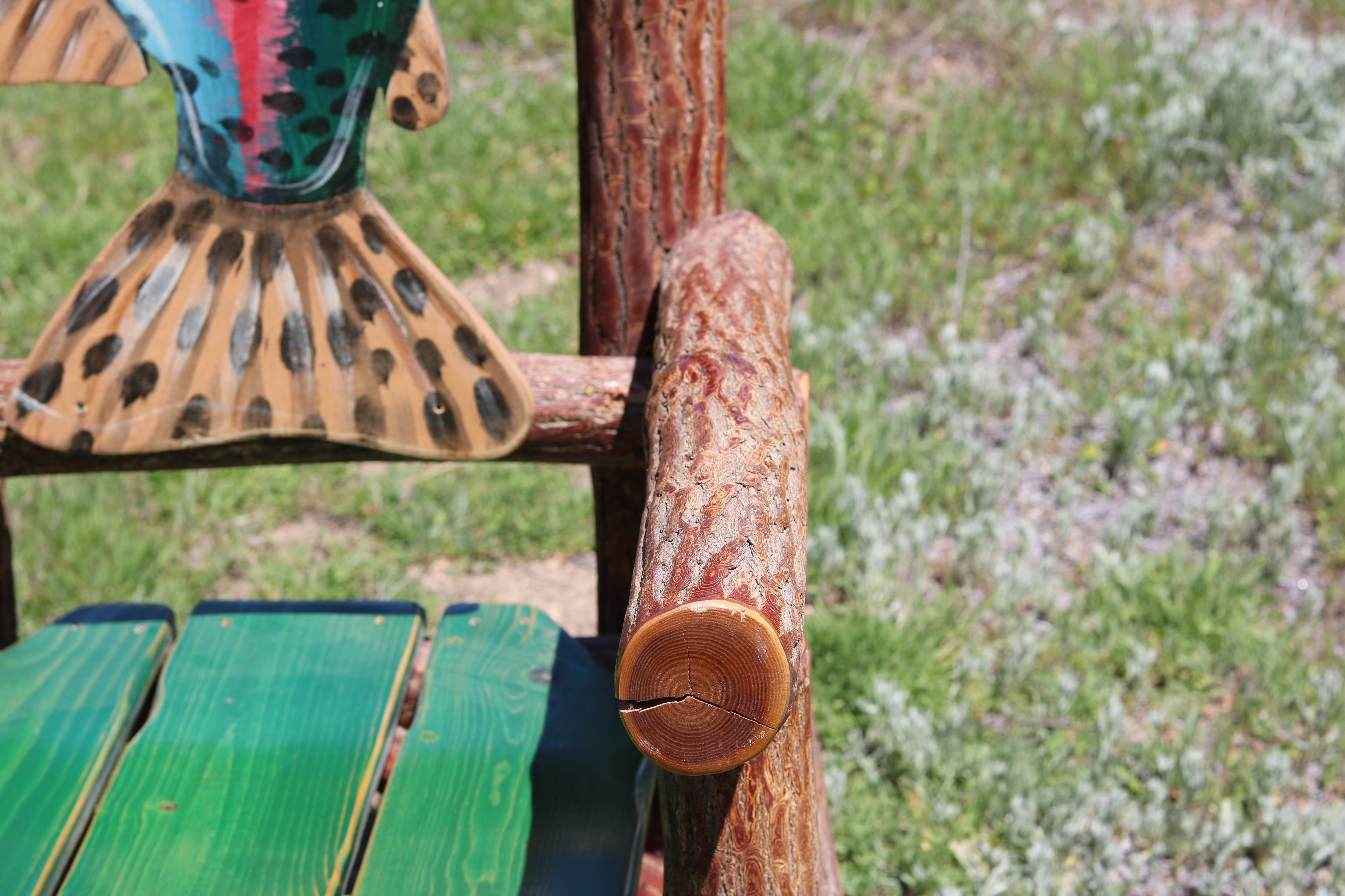 Natural Log Chair with a Rainbow Trout Back