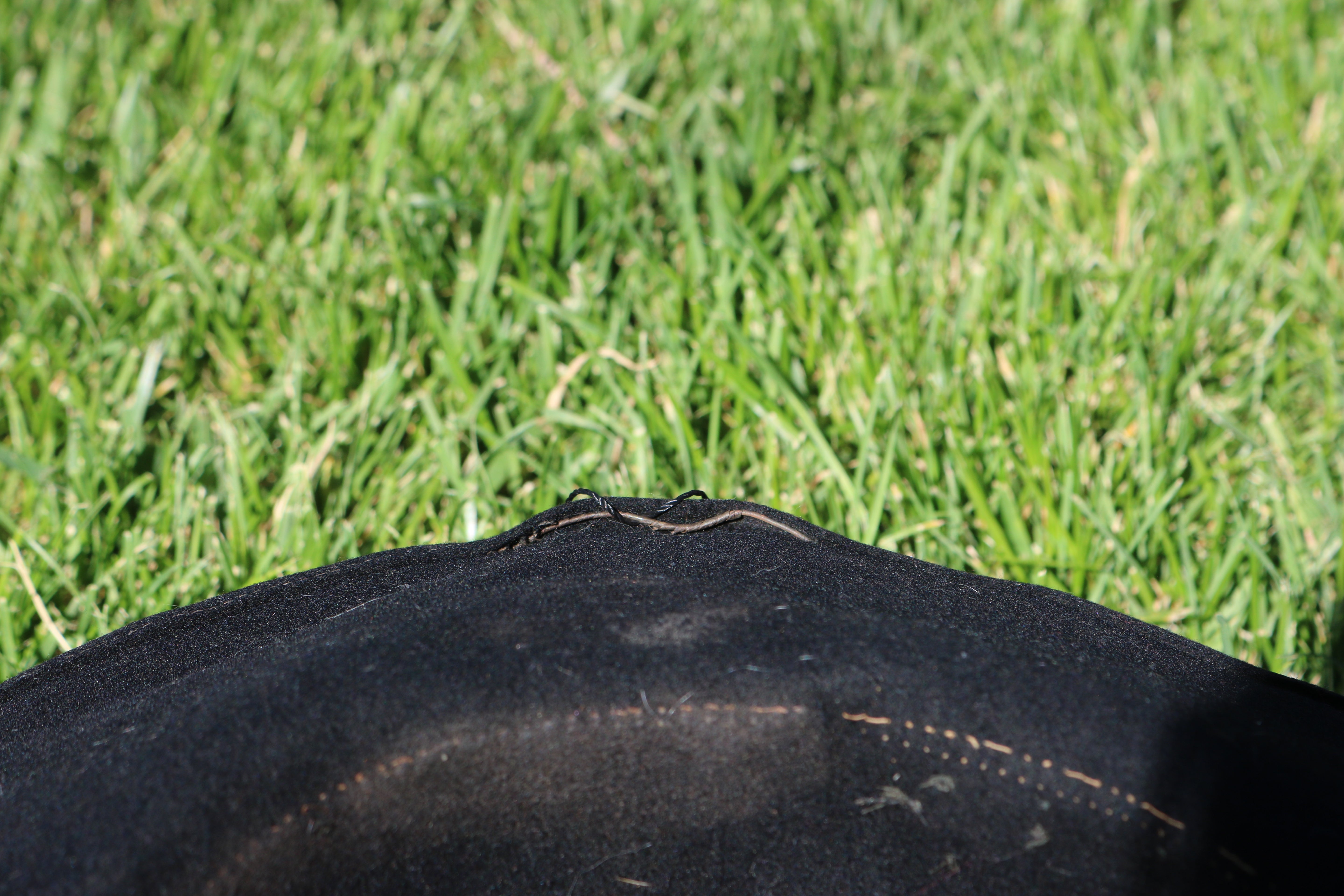 Rackmount Ranch Vintage Wide-Brim Felt Black Cowboy Hat